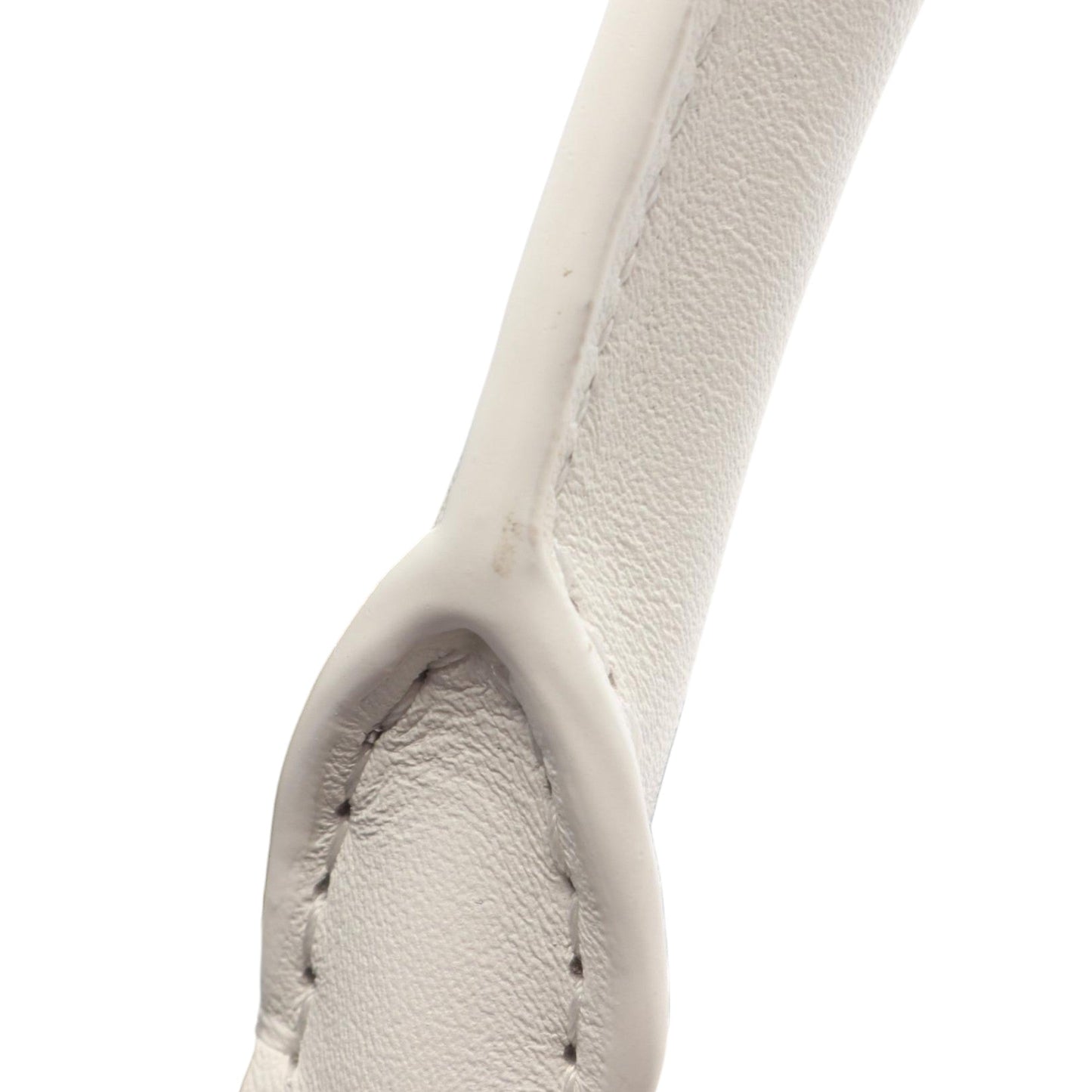 LOEWE Small Leather Amazona 180