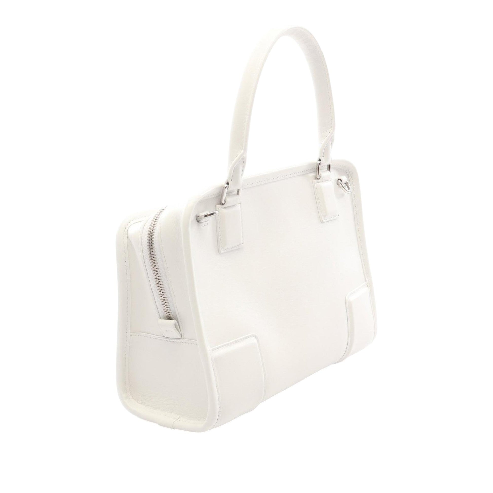 LOEWE Small Leather Amazona 180