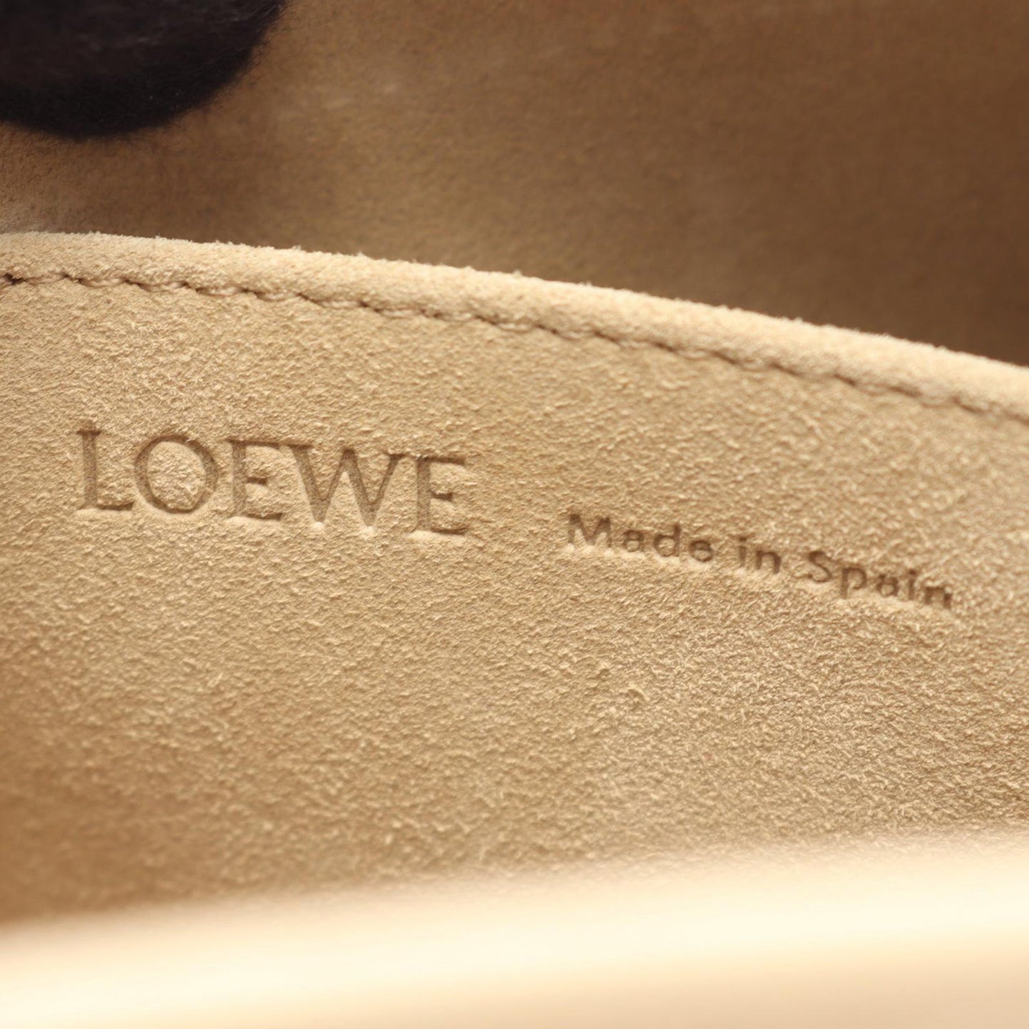 LOEWE Small Leather Amazona 180