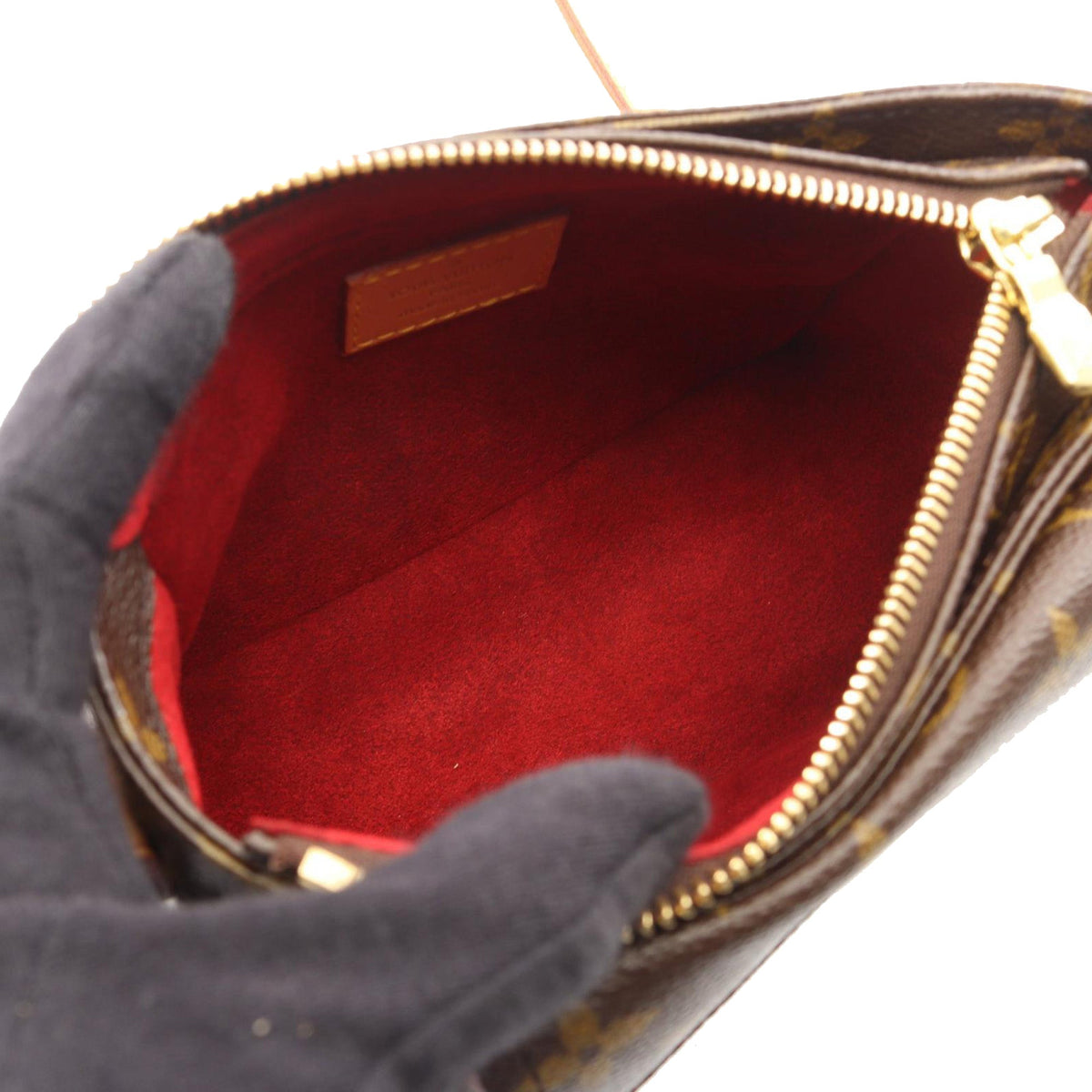 Louis Vuitton Monogram Viva Cite PM