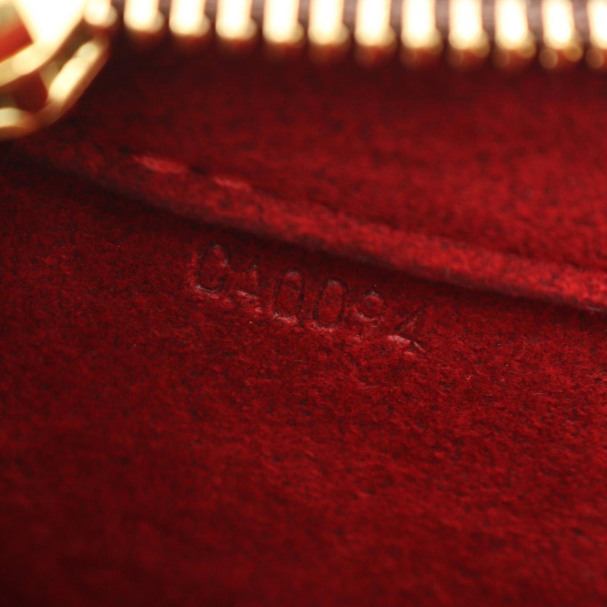 Louis Vuitton Monogram Viva Cite PM