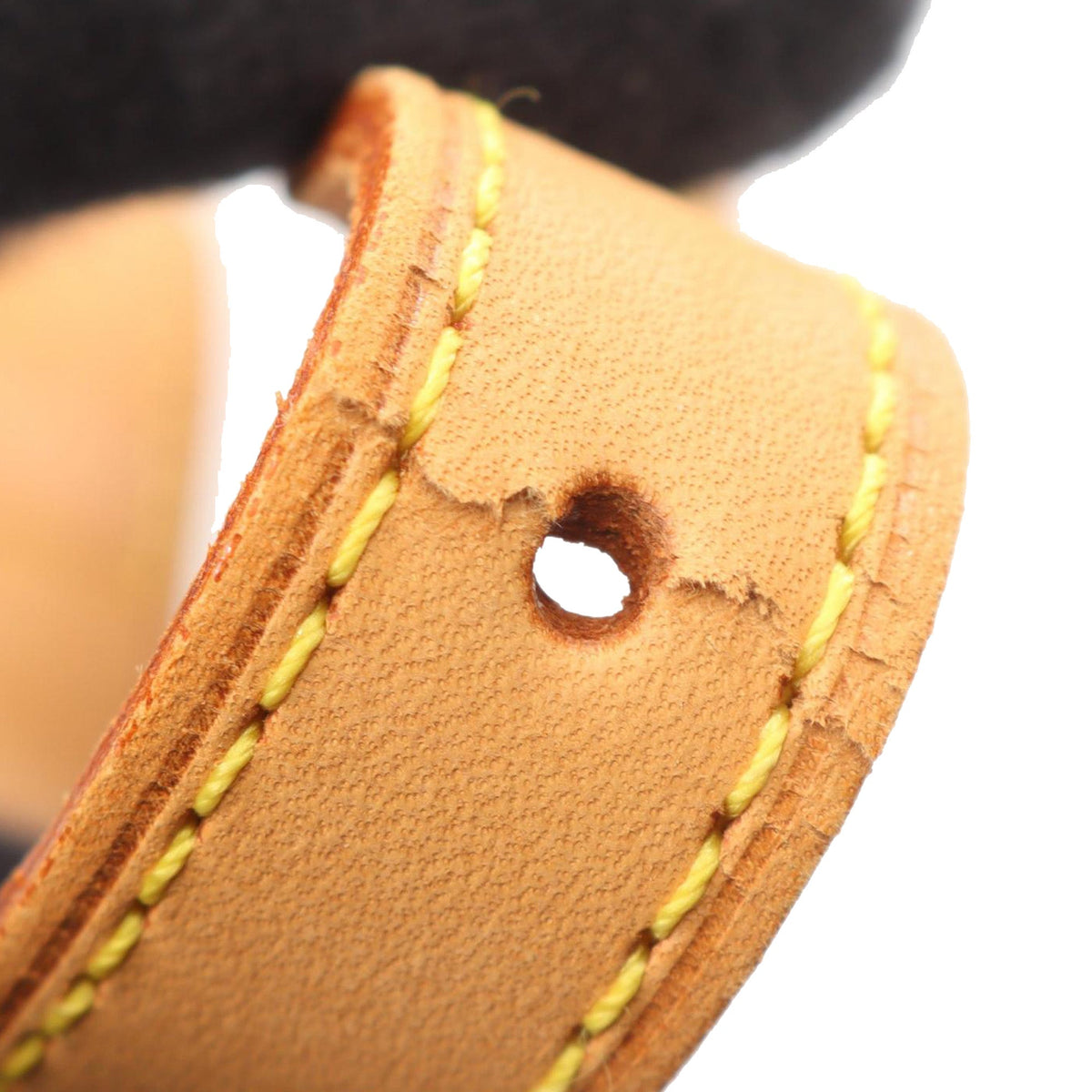 Louis Vuitton Monogram Viva Cite PM