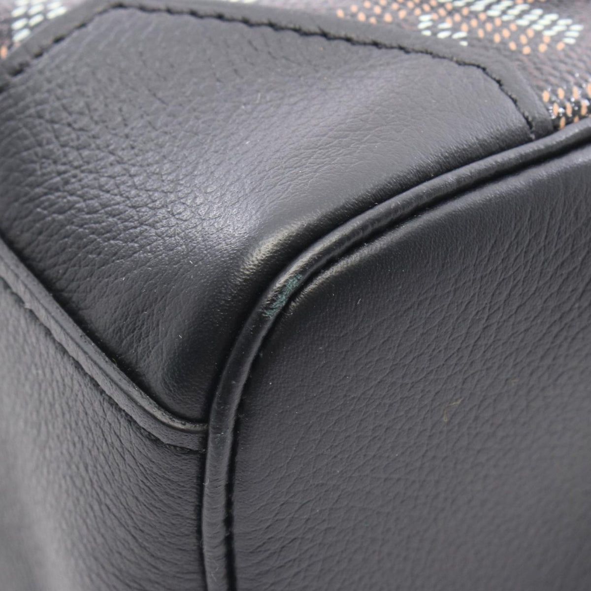 Goyard Mini Goyardine Saigon Souple