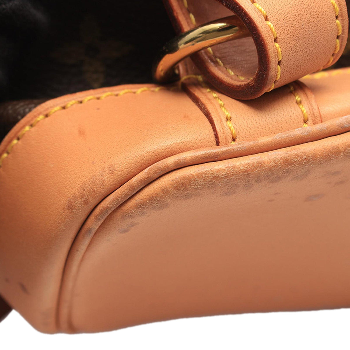 Louis Vuitton Monogram Montsouris MM — Brown
