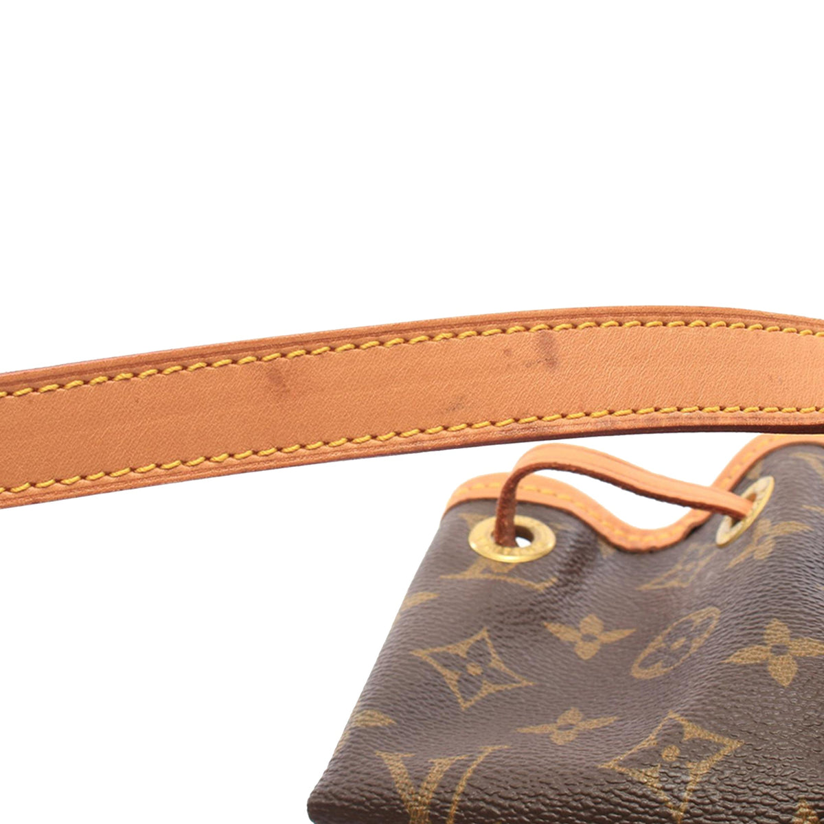 Louis Vuitton Monogram Montsouris MM — Brown