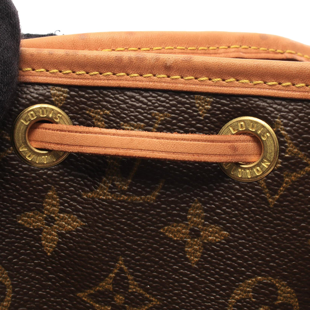 Louis Vuitton Monogram Montsouris MM — Brown