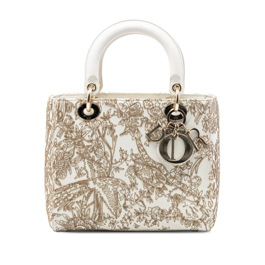 Dior Medium Calfskin Embroidered Jardin D Hiver Lady Dior