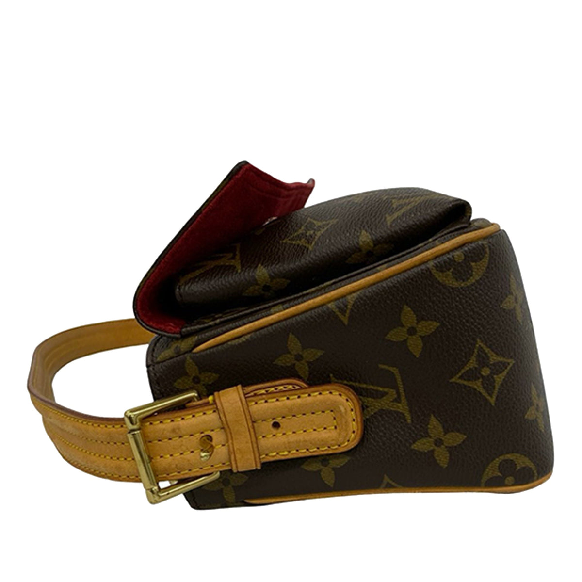 Louis Vuitton Monogram Viva Cite MM