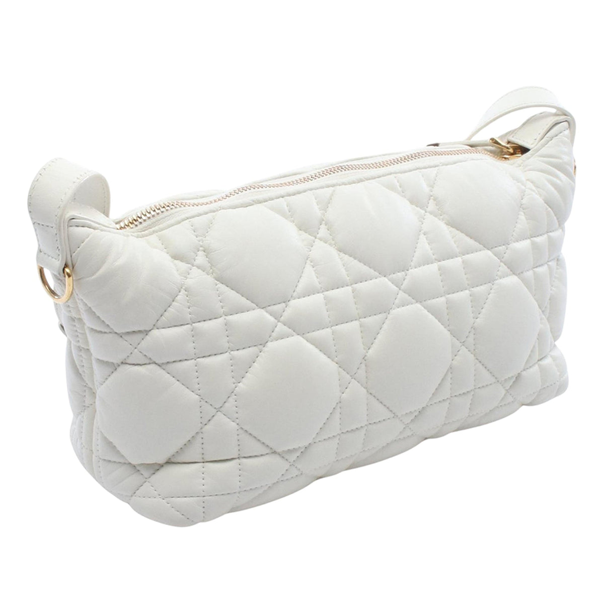 Dior Leather Nomad Crossbody