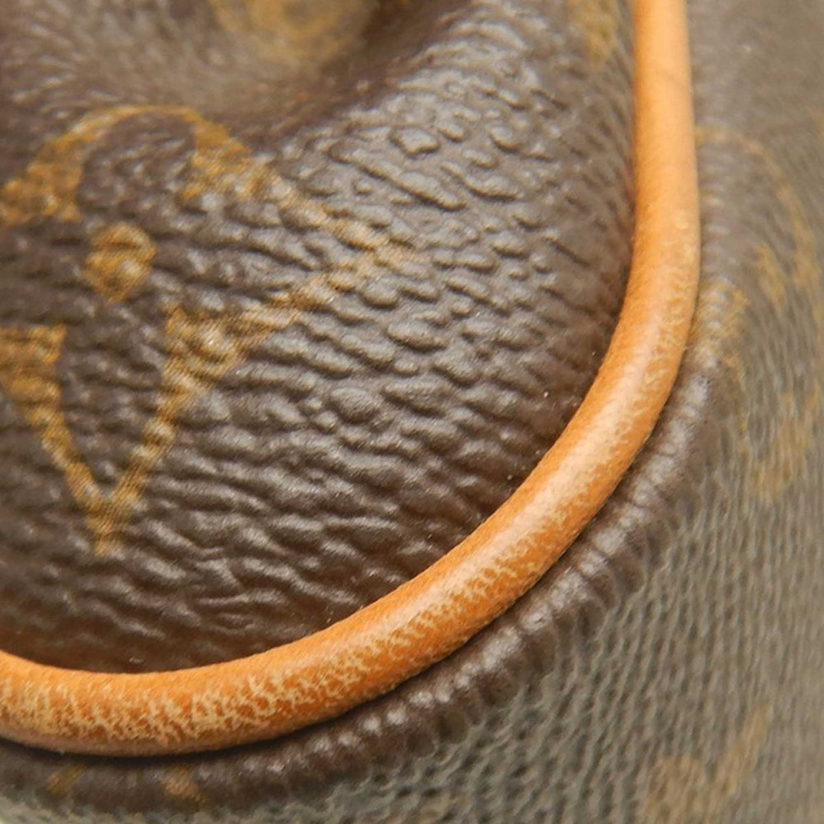 Louis Vuitton Monogram Eva