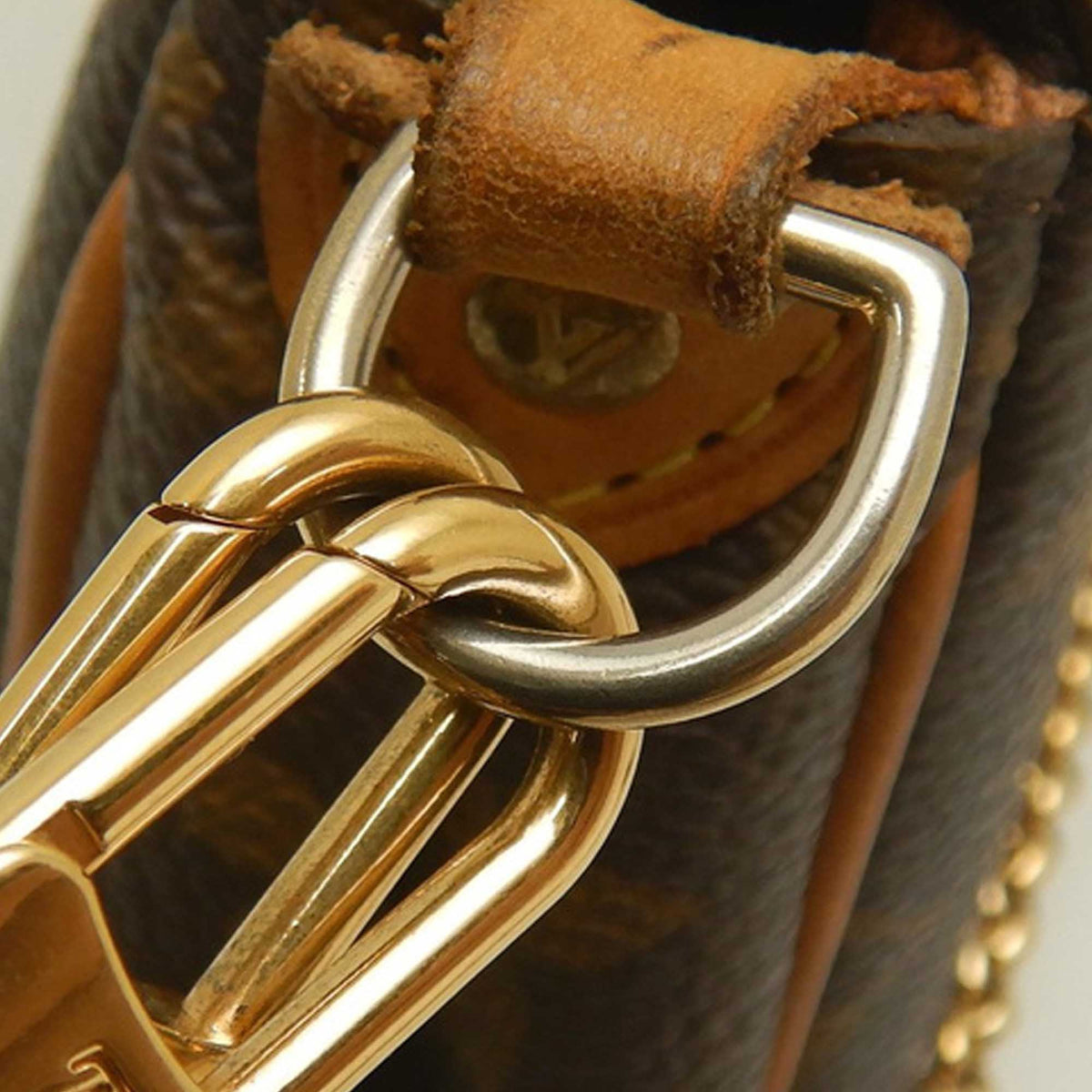 Louis Vuitton Monogram Eva