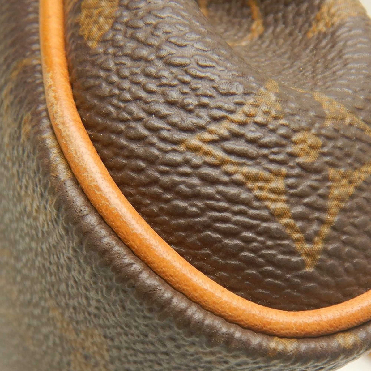 Louis Vuitton Monogram Eva