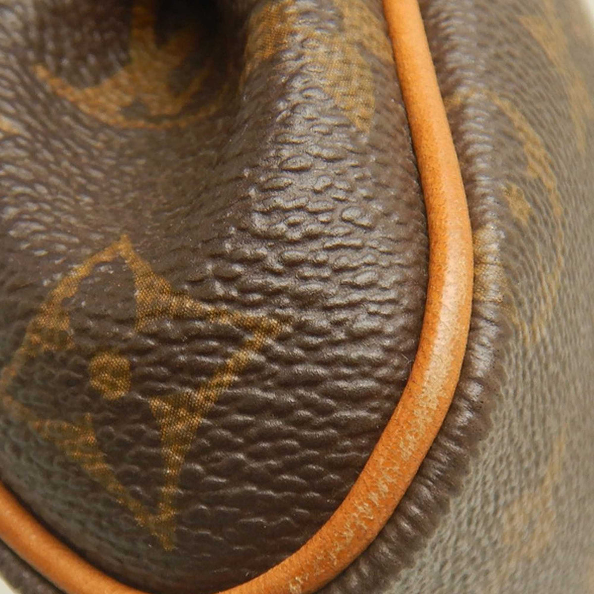 Louis Vuitton Monogram Eva