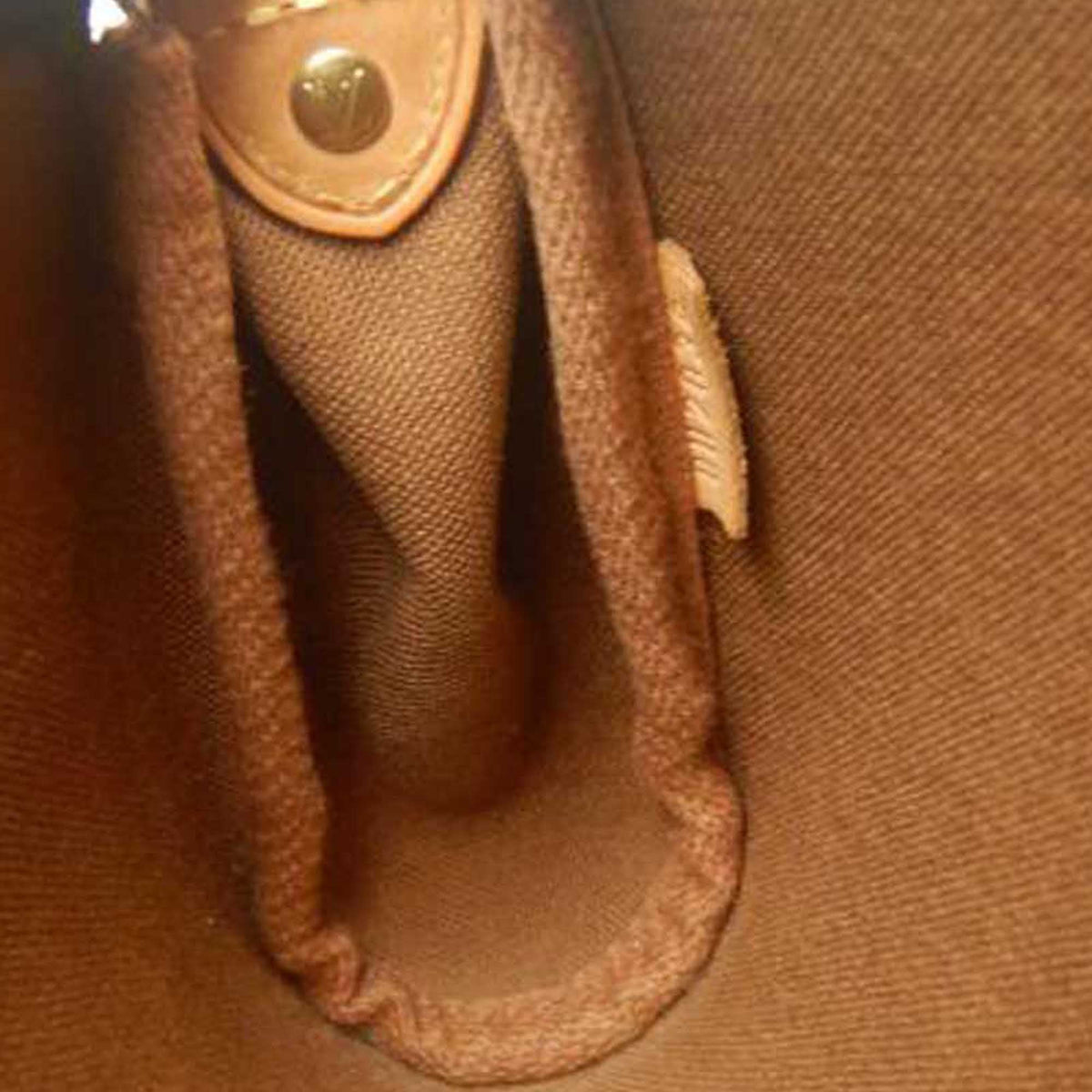 Louis Vuitton Monogram Eva