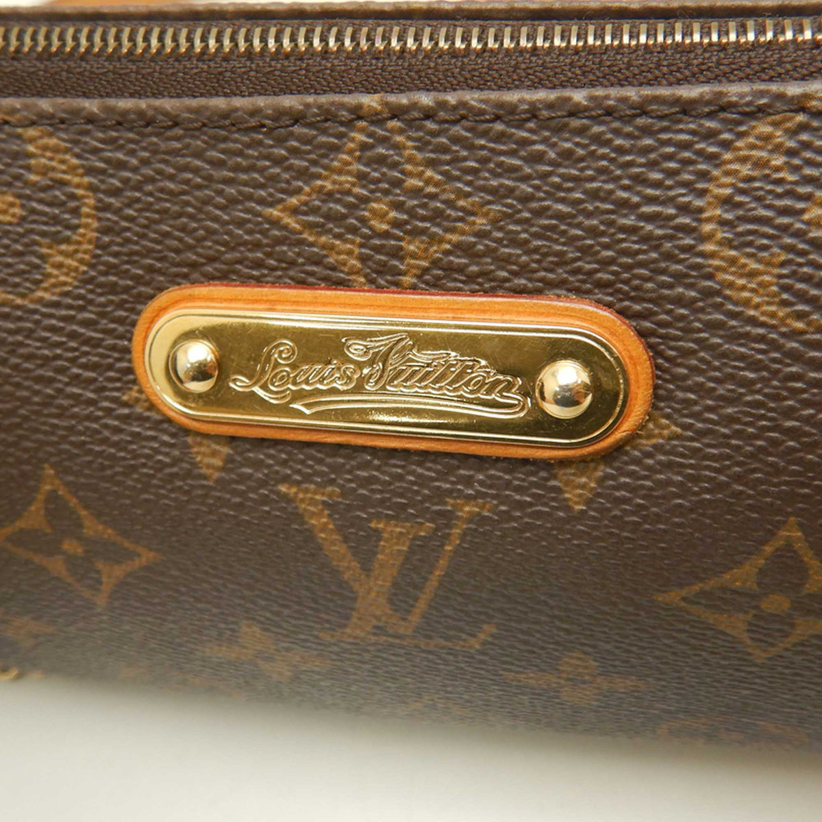Louis Vuitton Monogram Eva