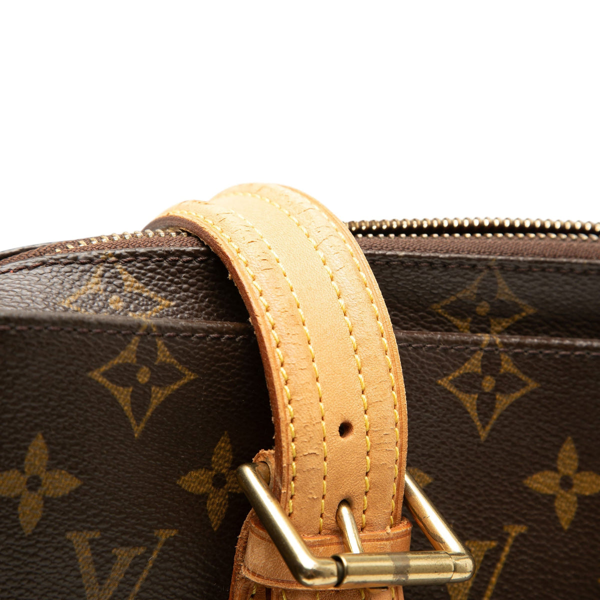 Louis Vuitton Monogram Multipli Cite