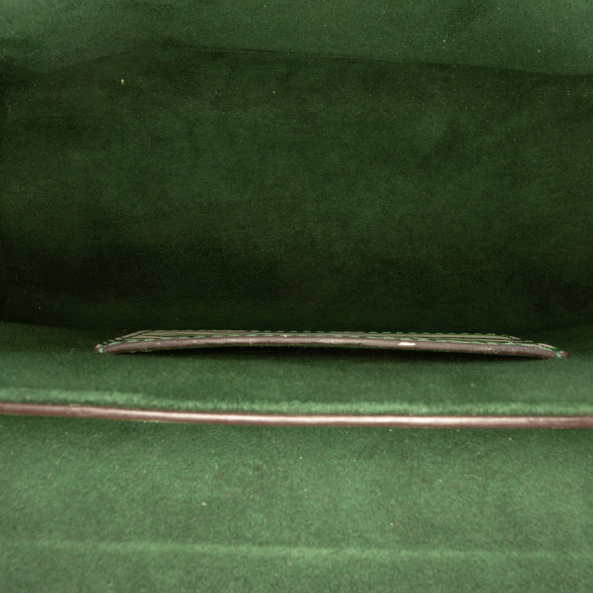 Louis Vuitton Monogram Palm Print Twist MM