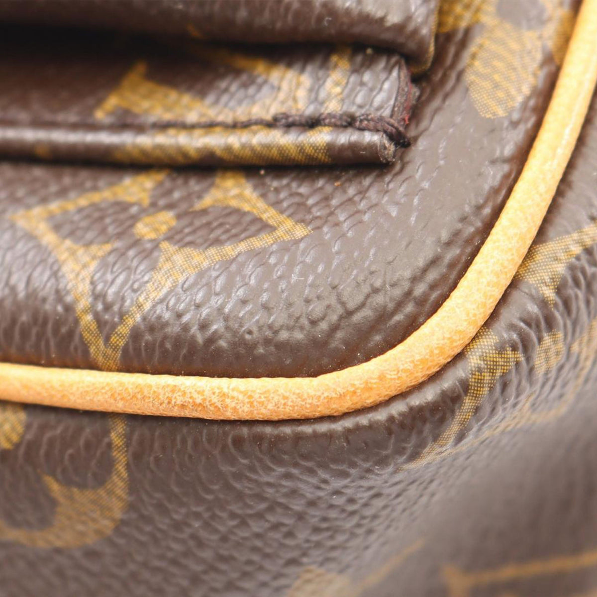 Louis Vuitton Monogram Viva Cite PM