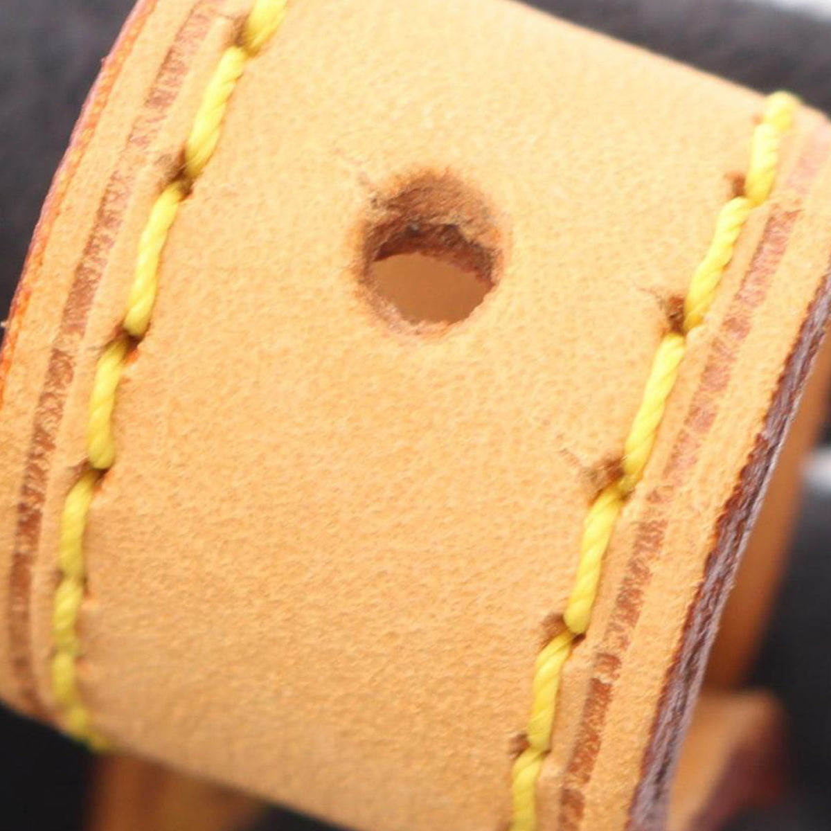 Louis Vuitton Monogram Viva Cite PM