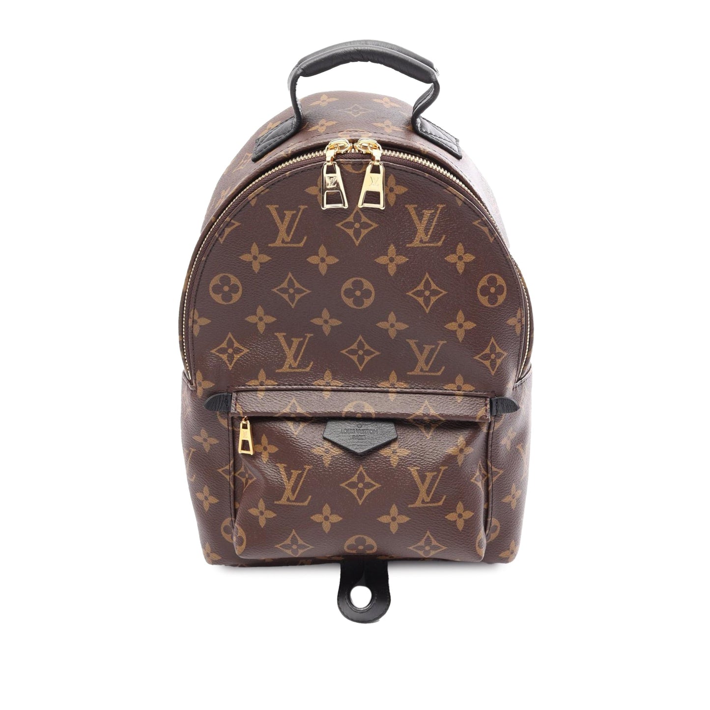 Louis Vuitton Monogram Palm Springs PM