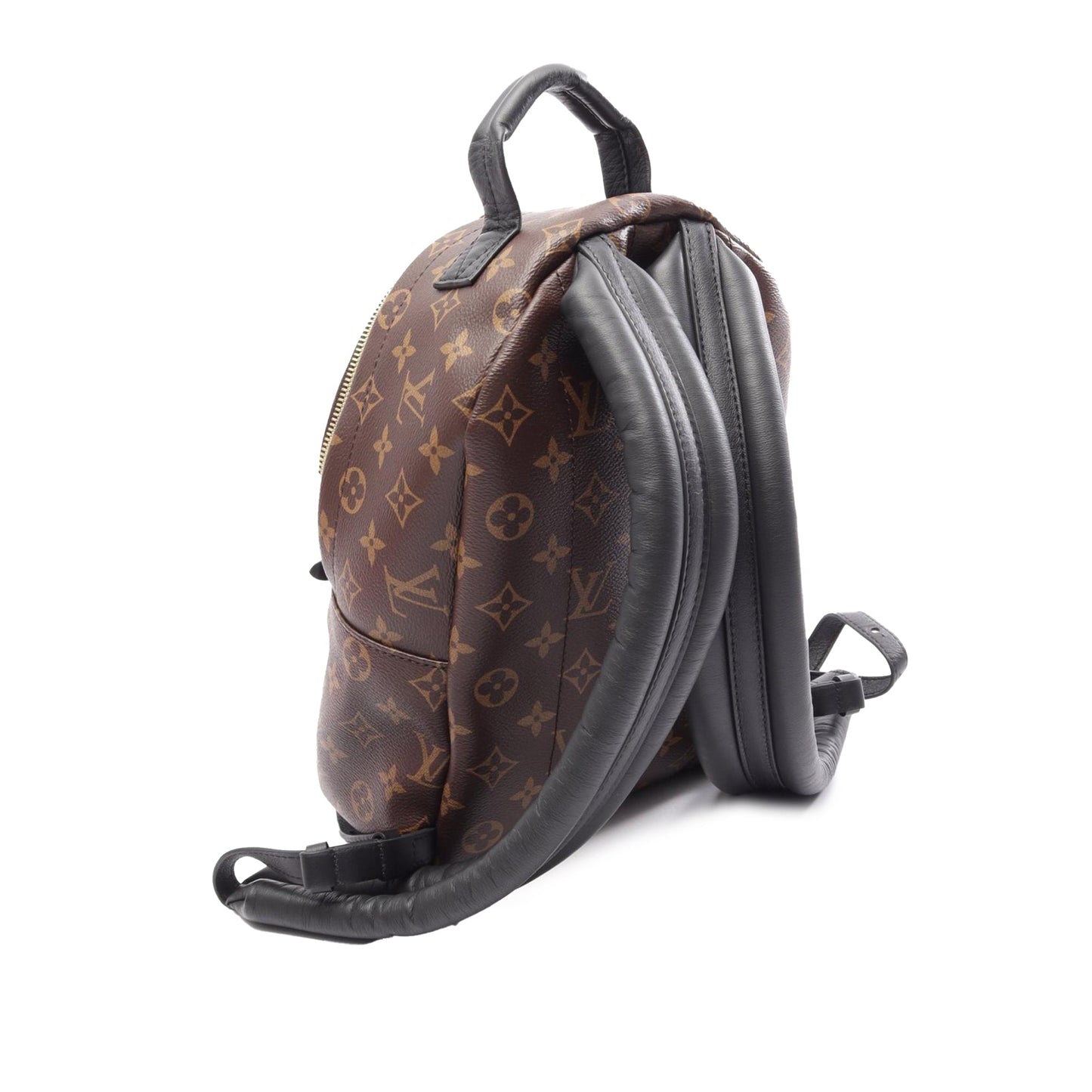 Louis Vuitton Monogram Palm Springs PM