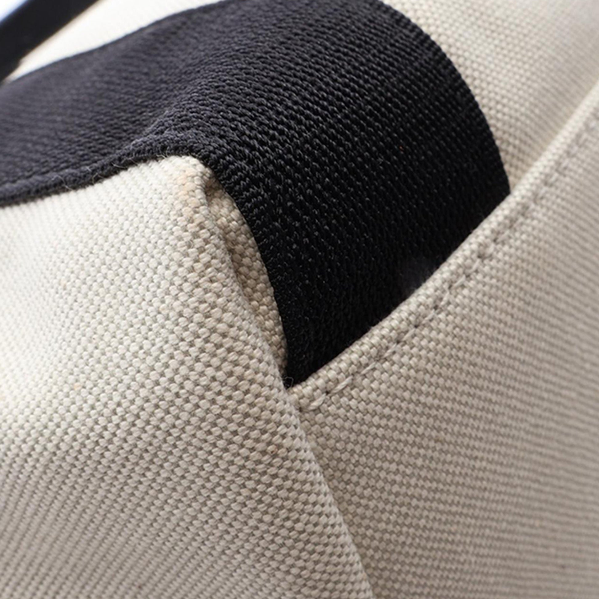 Balenciaga Medium Canvas Biarritz Tote