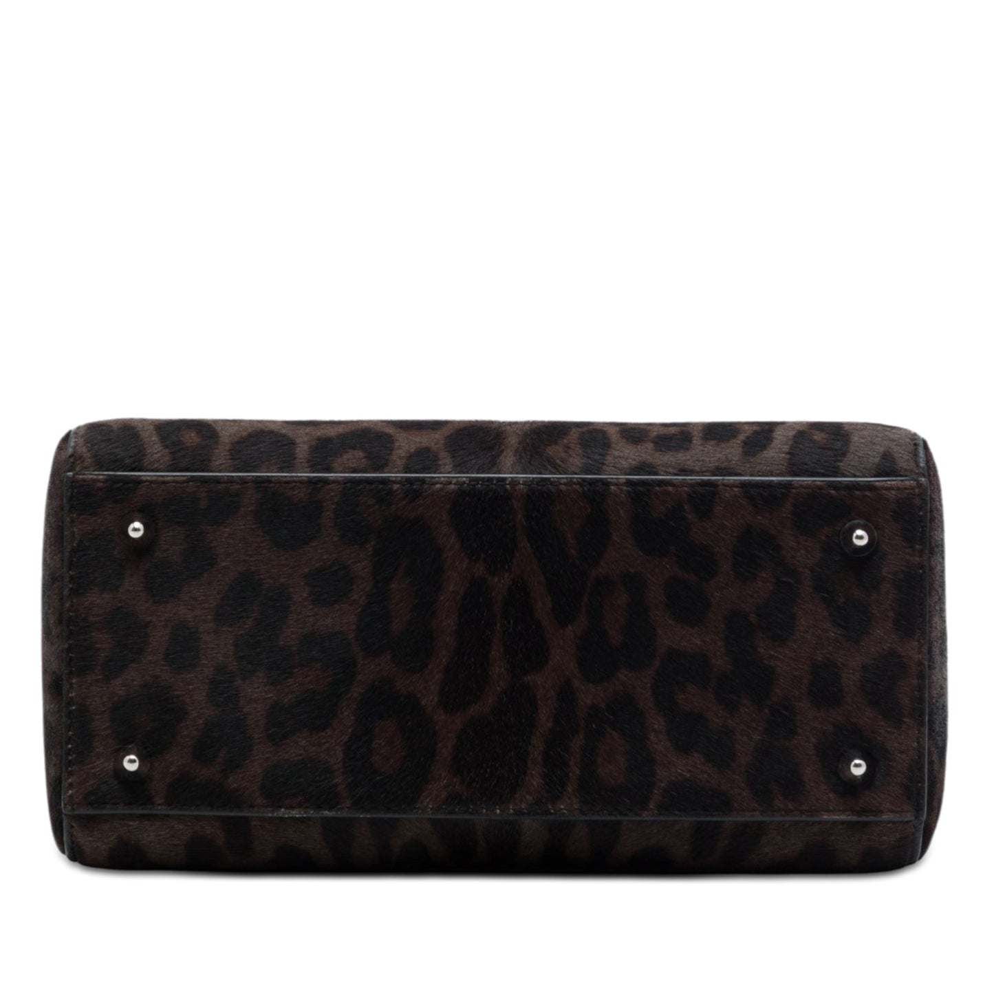 Dior Medium Pony Hair Leopard Print Lady Dior
