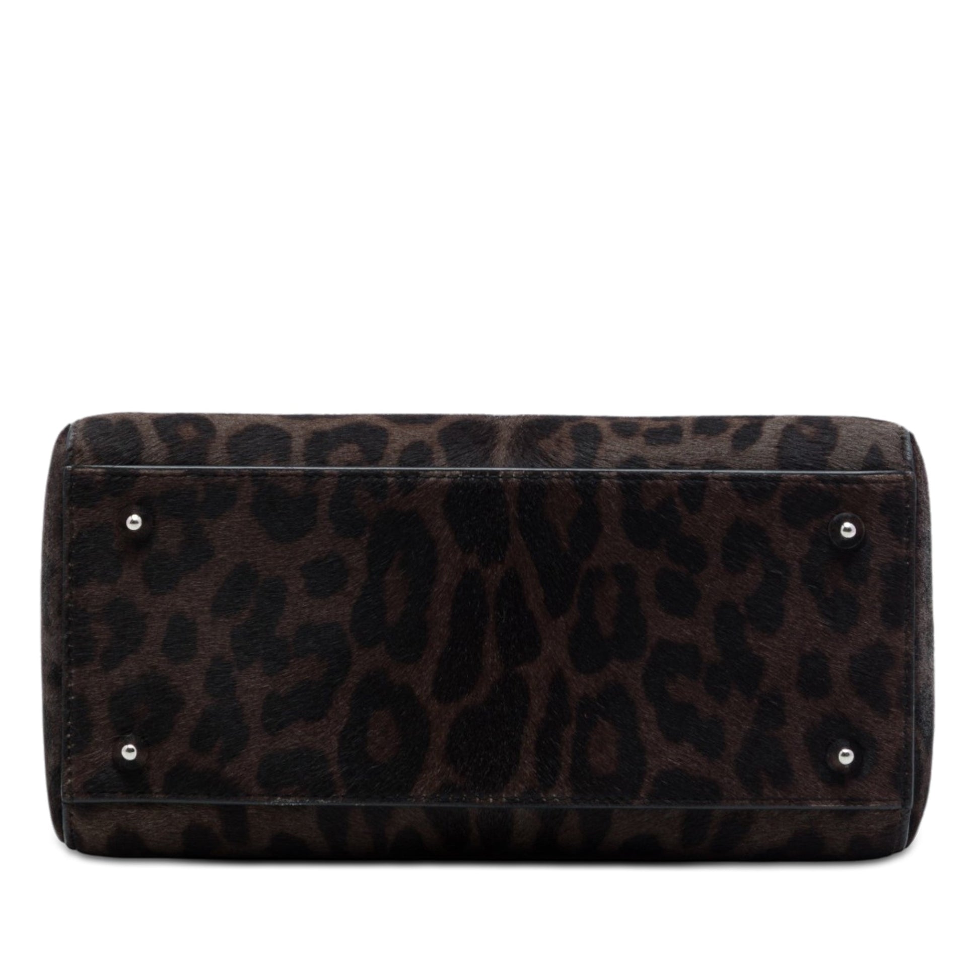 Dior Medium Pony Hair Leopard Print Lady Dior