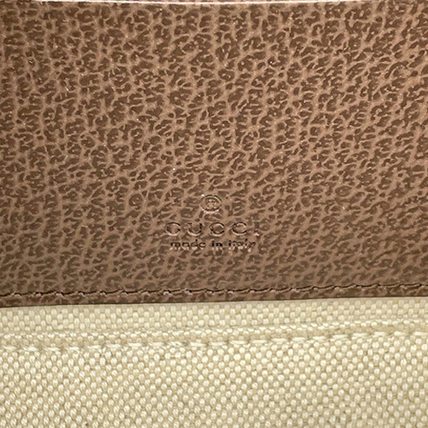 Gucci Small GG Supreme Web Ophidia Vanity Bag