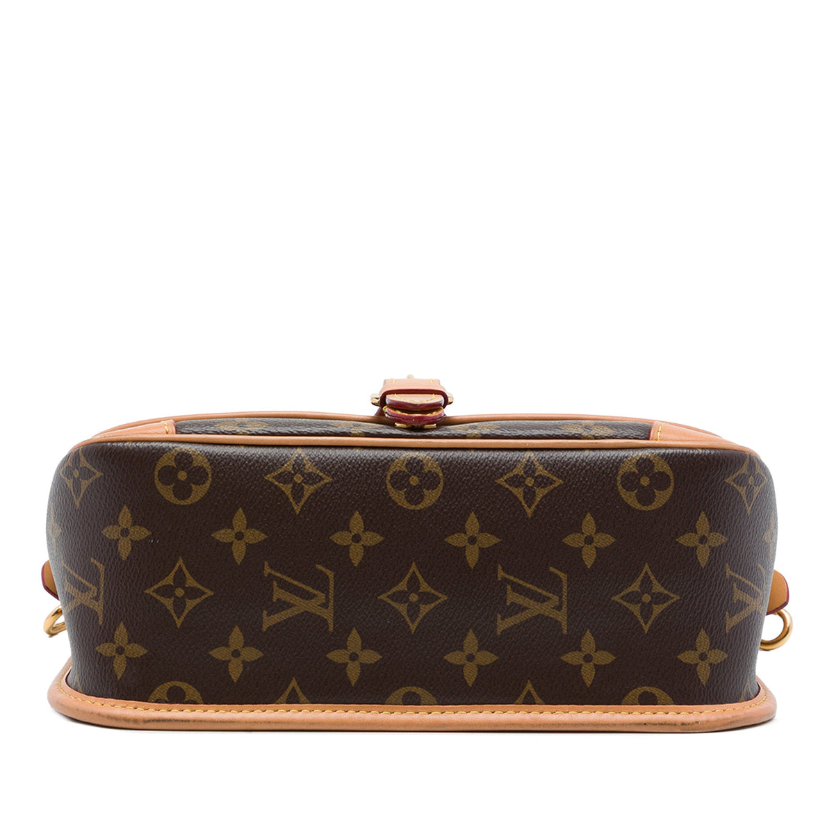Louis Vuitton Monogram Diane