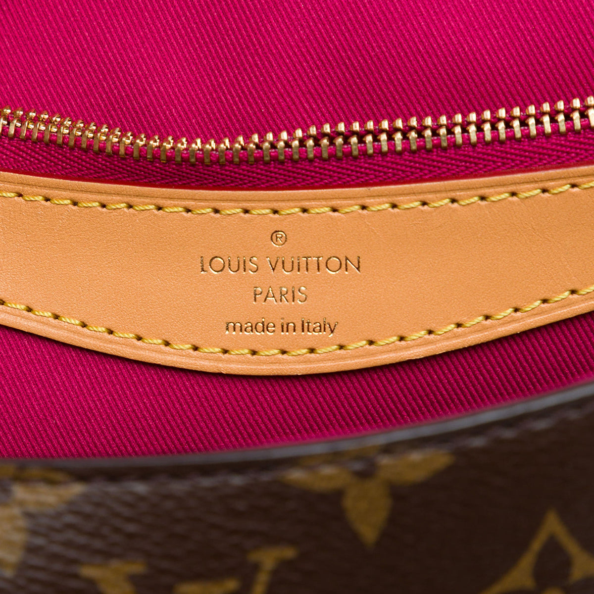 Louis Vuitton Monogram Diane