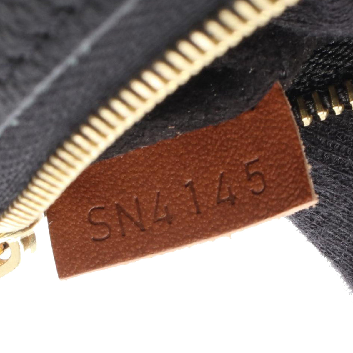 Louis Vuitton Monogram Nano Pallas