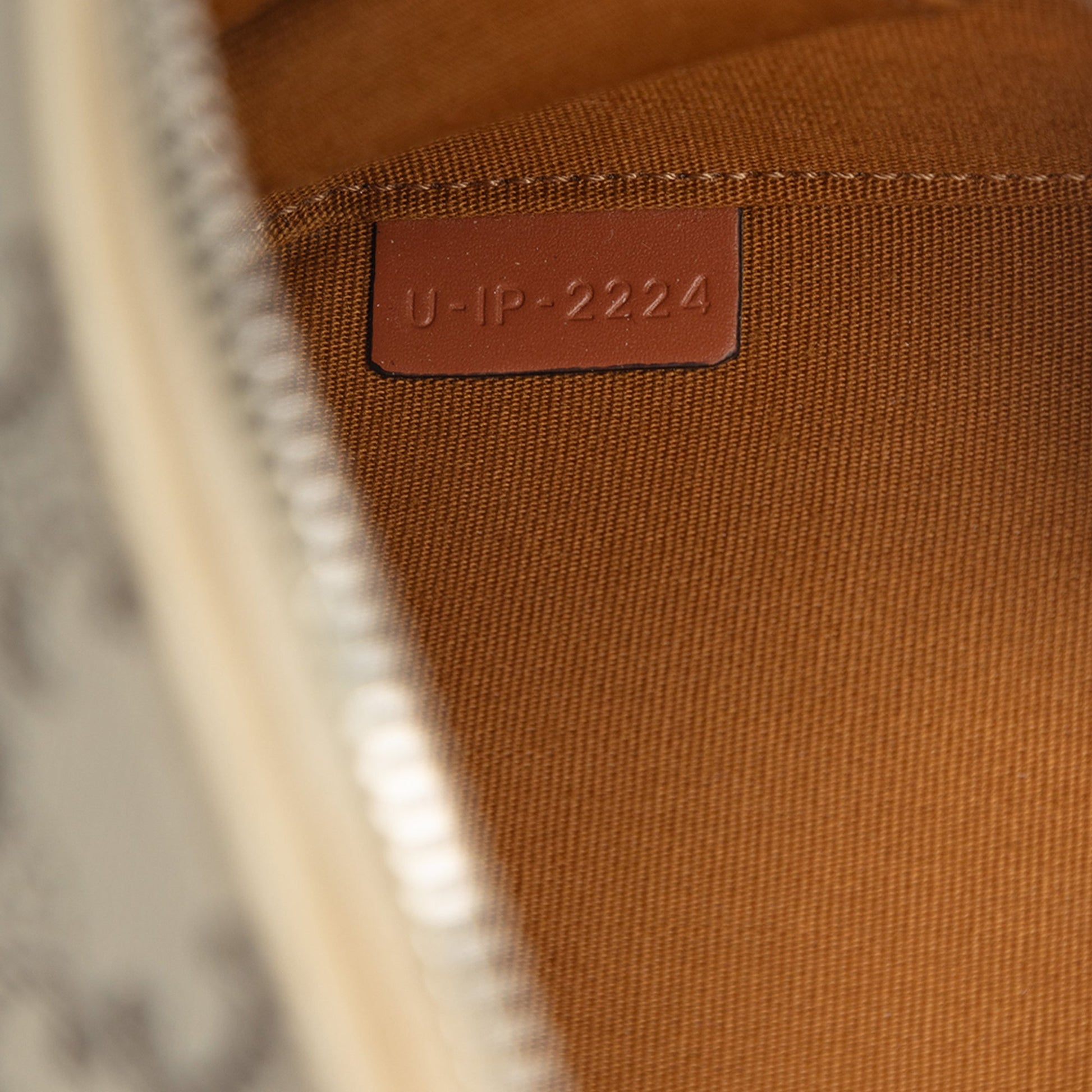 Mini Triomphe Coated Canvas Camera Bag