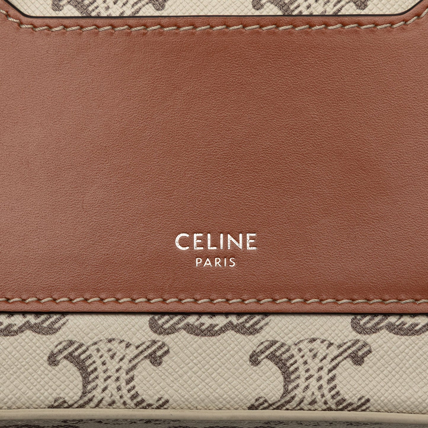 Mini Triomphe Coated Canvas Camera Bag