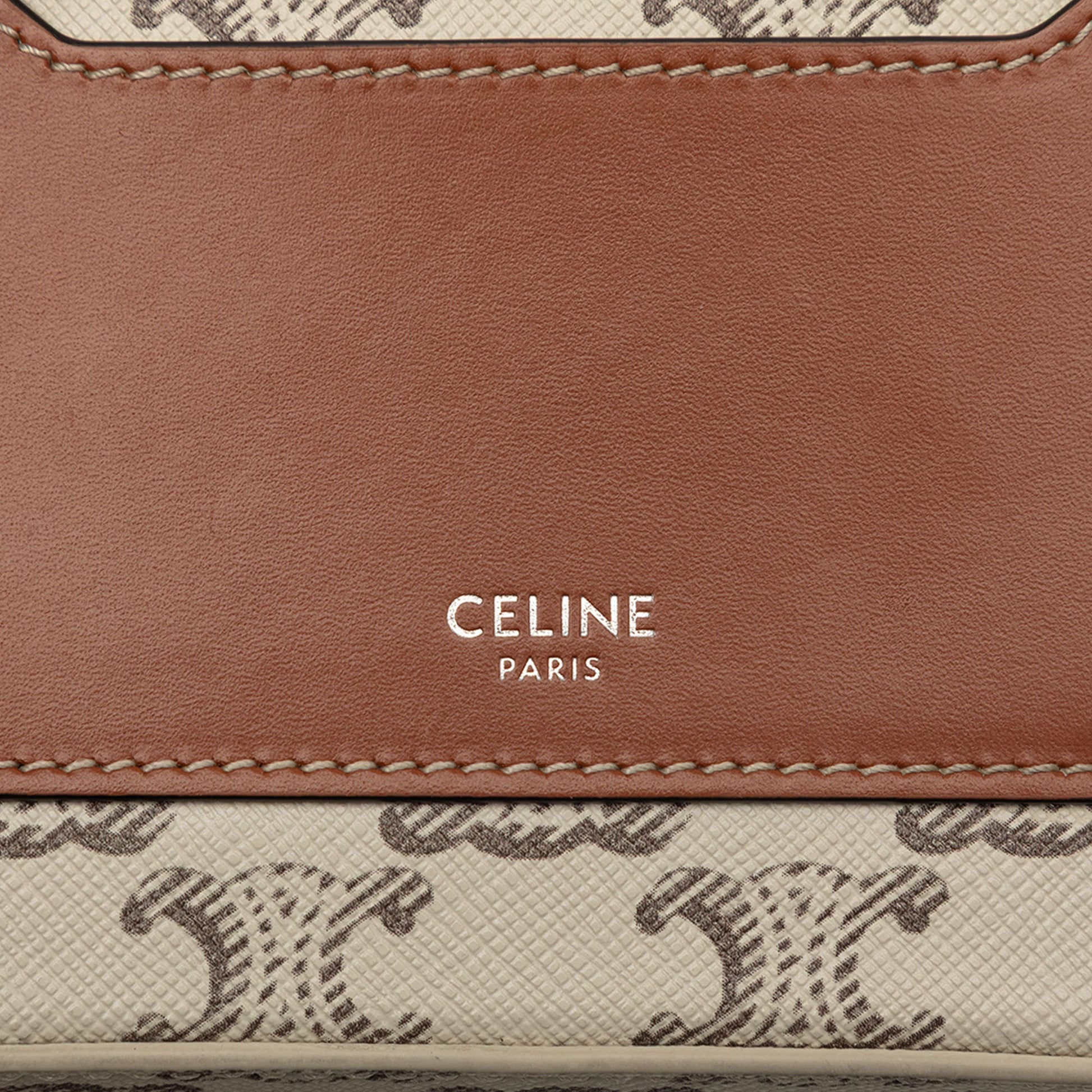 Mini Triomphe Coated Canvas Camera Bag