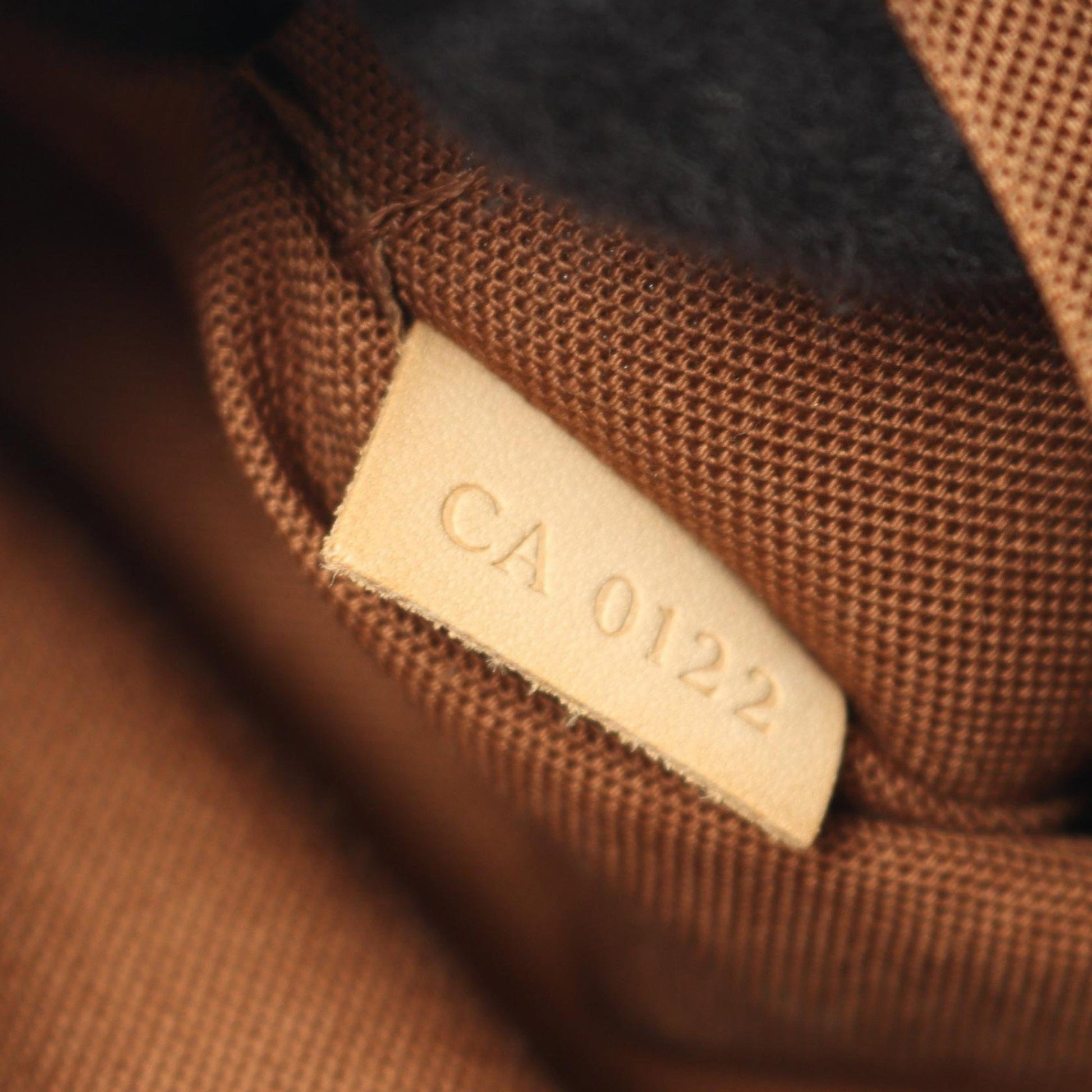 Louis Vuitton Monogram Odeon PM