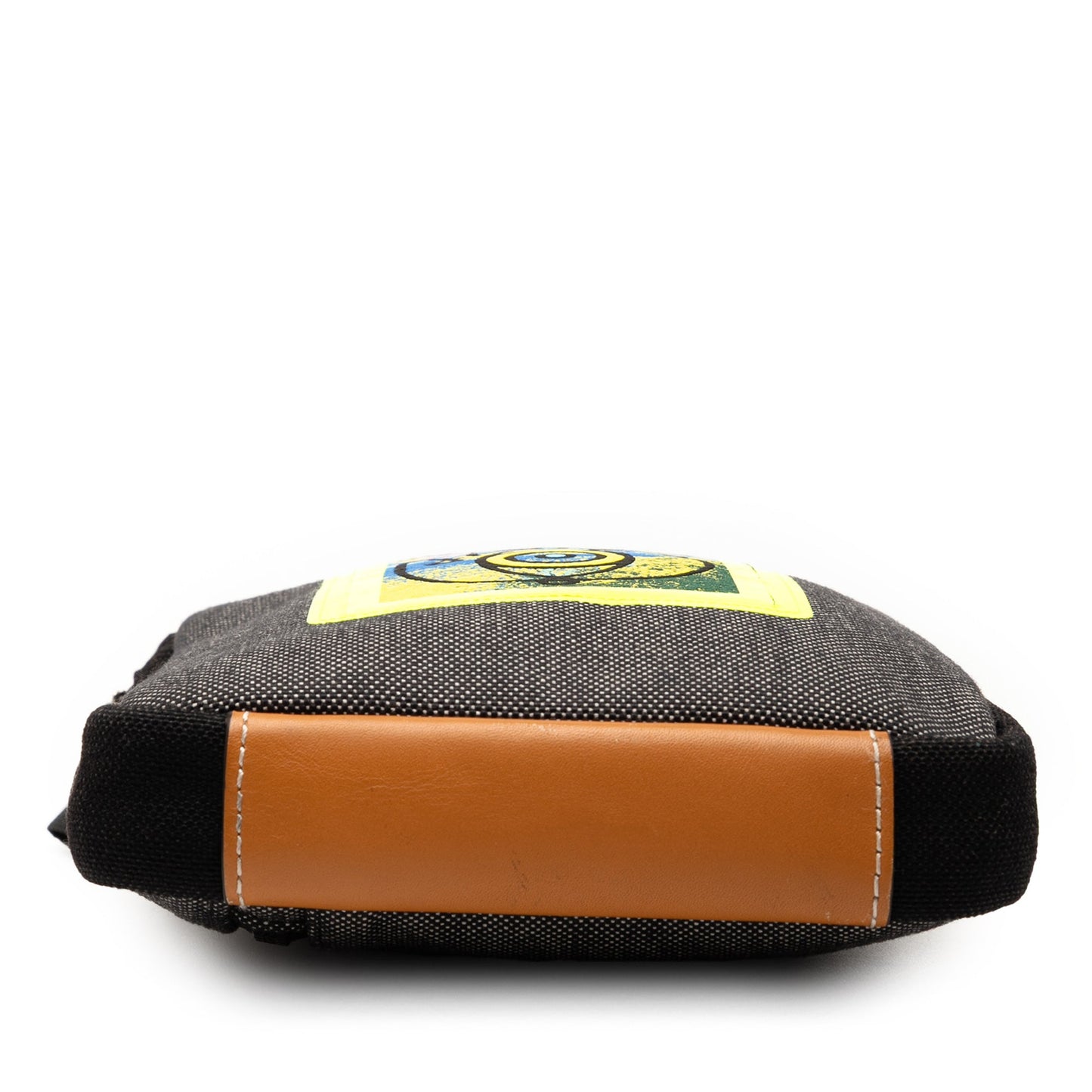 LOEWE Canvas Eye Loewe Nature Neck Pouch