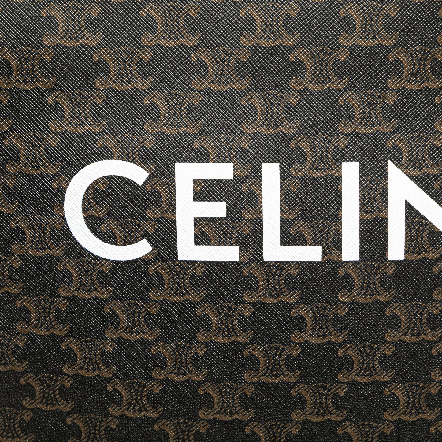 Celine Small Triomphe Coated Canvas Vertical Cabas Tote