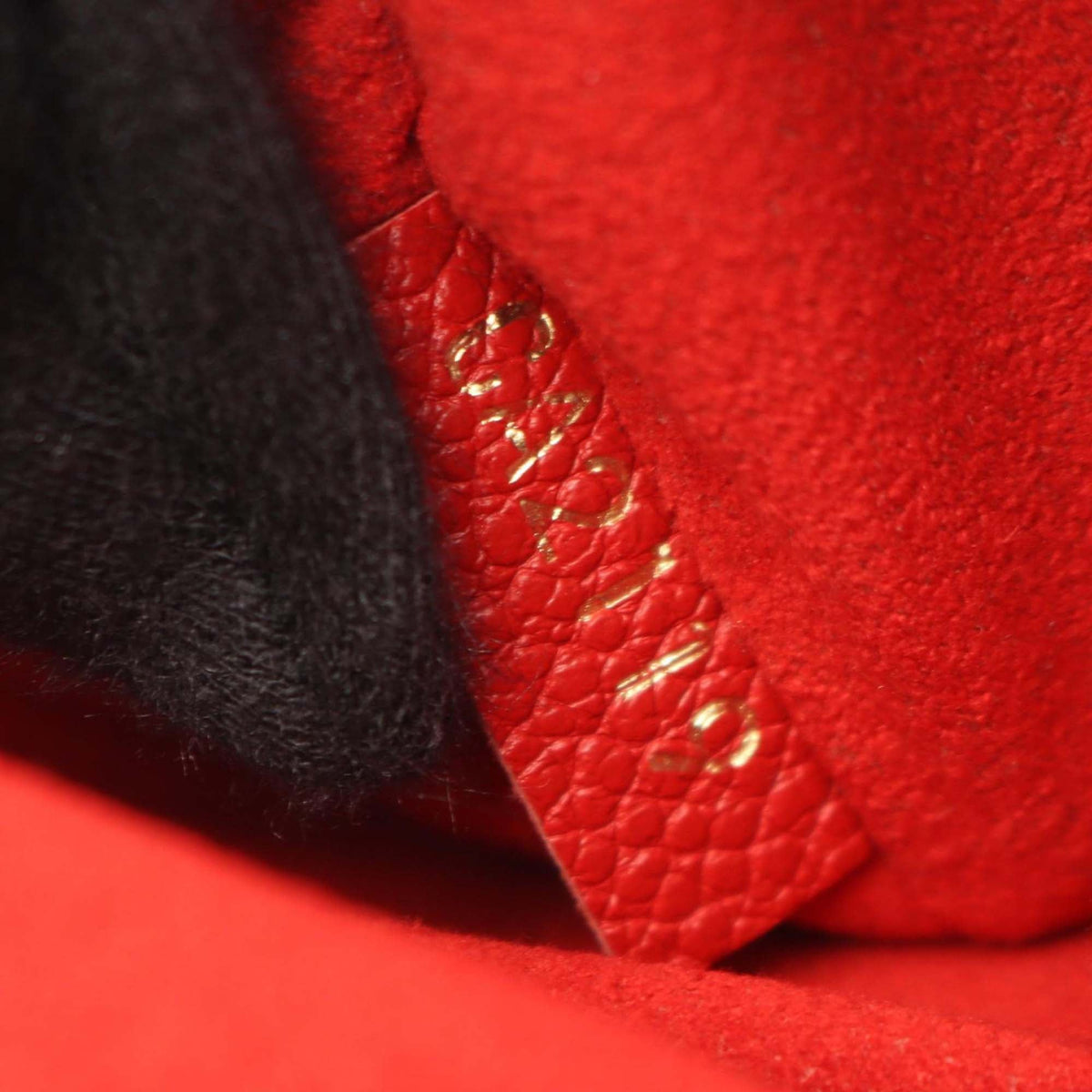 Louis Vuitton Monogram Saint Placide