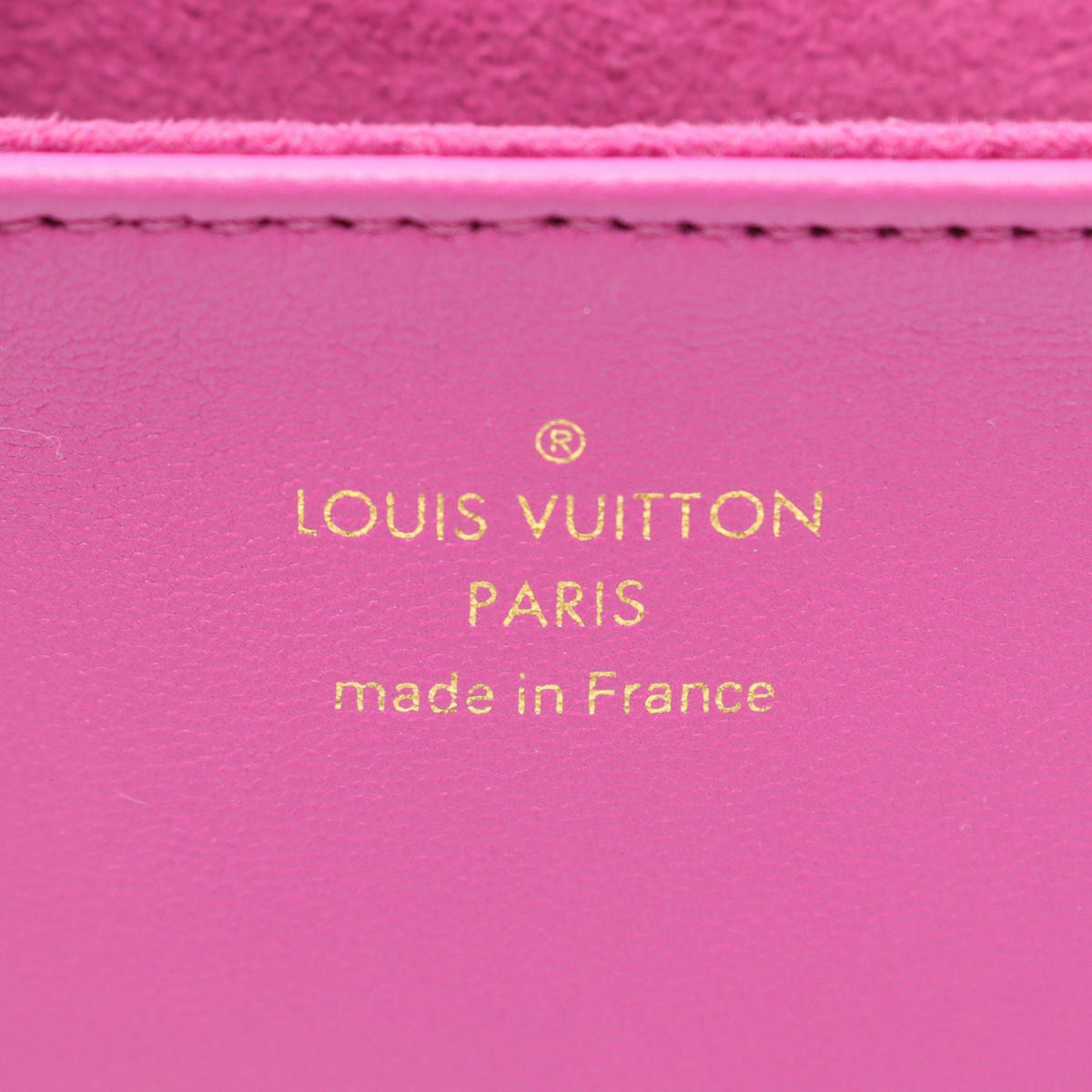 Louis Vuitton Monogram Embossed Coussin Belt Bag