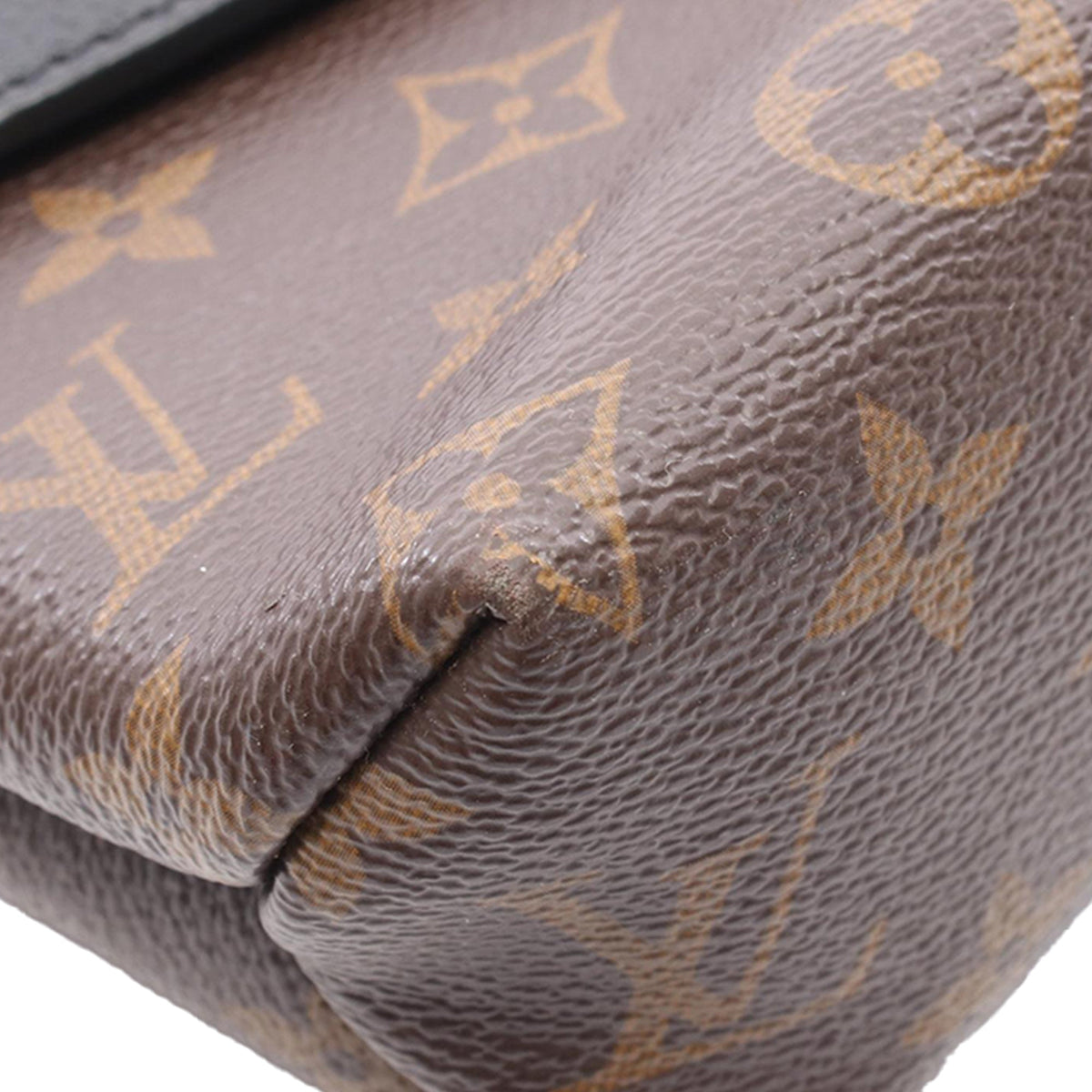 Louis Vuitton Monogram Saint Placide
