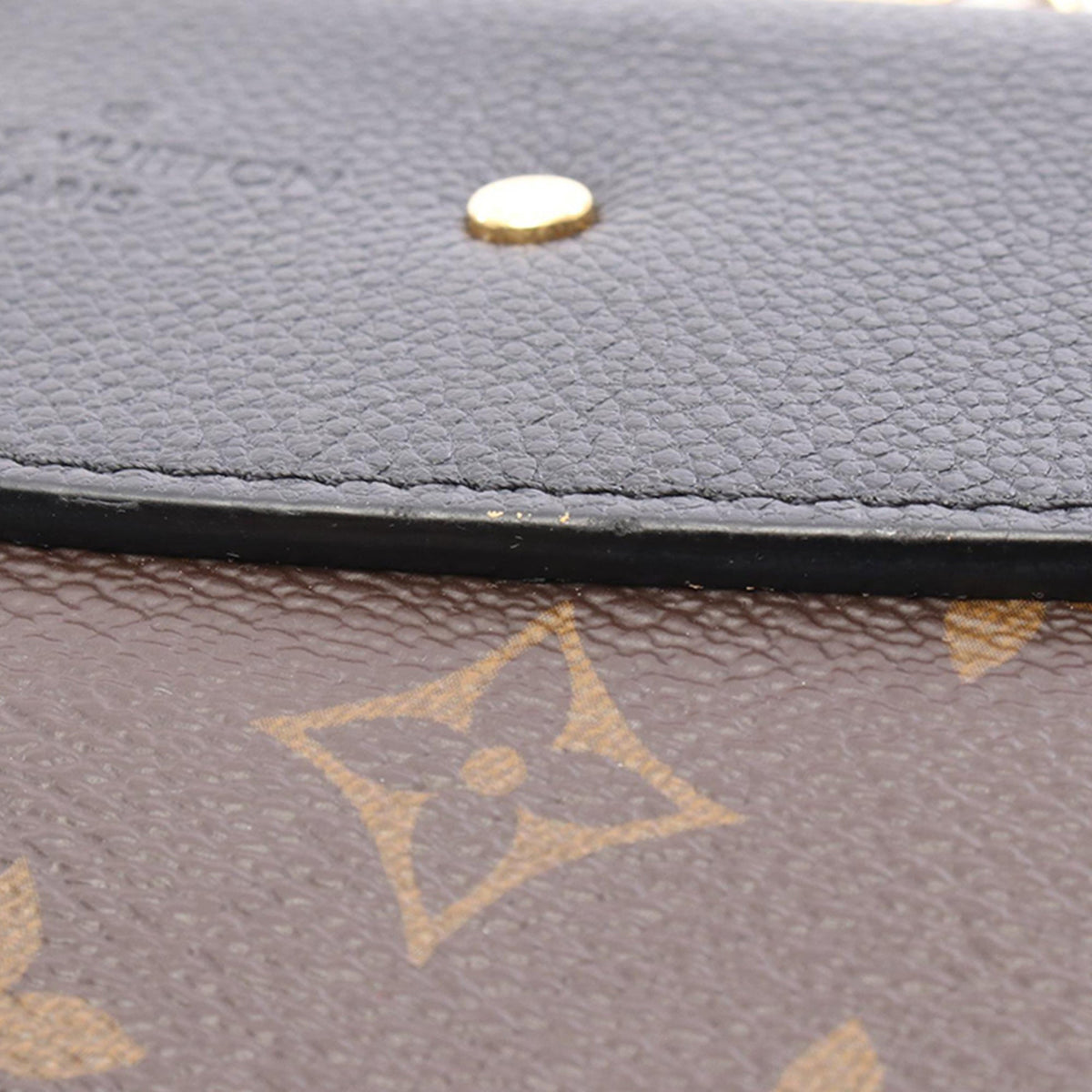 Louis Vuitton Monogram Saint Placide