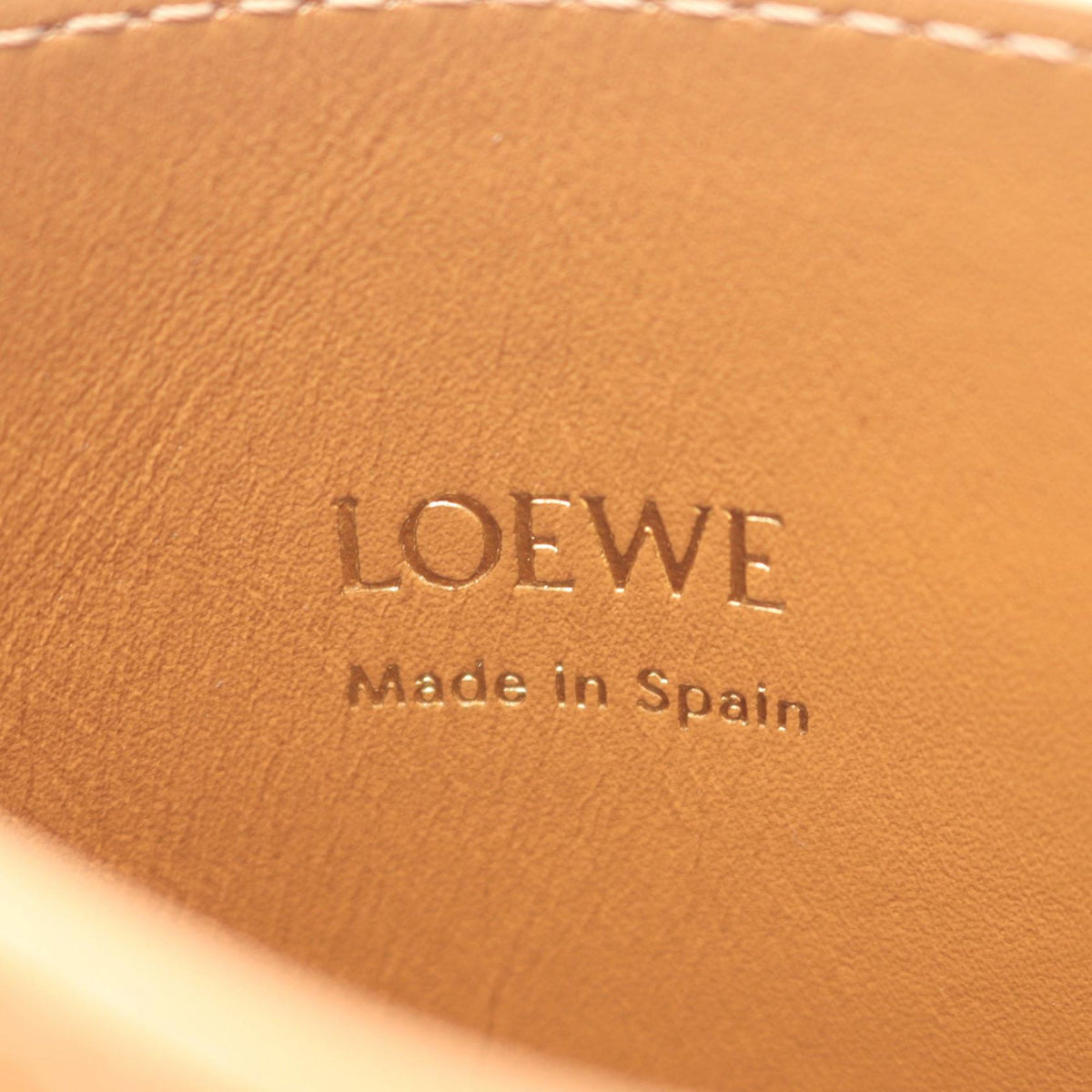 LOEWE Pebble Dice Pocket Bag