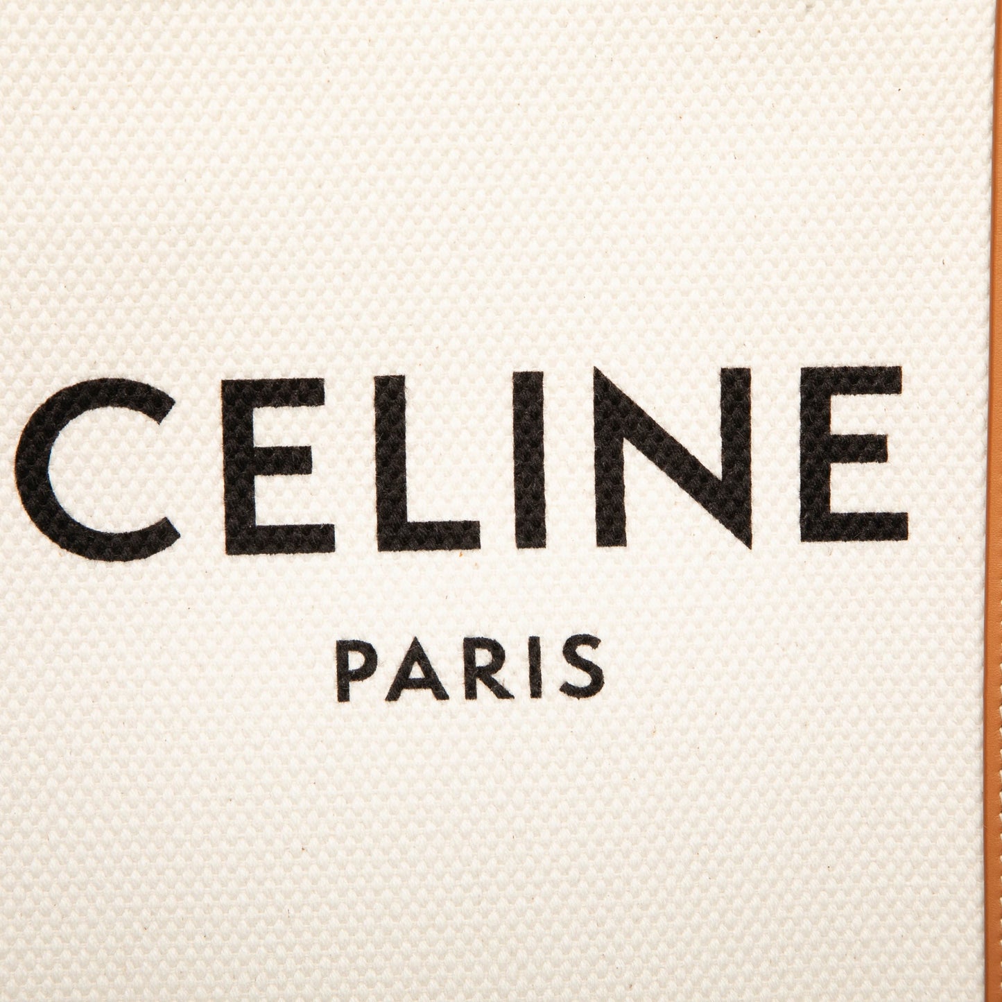 Celine Mini Canvas Vertical Cabas Tote