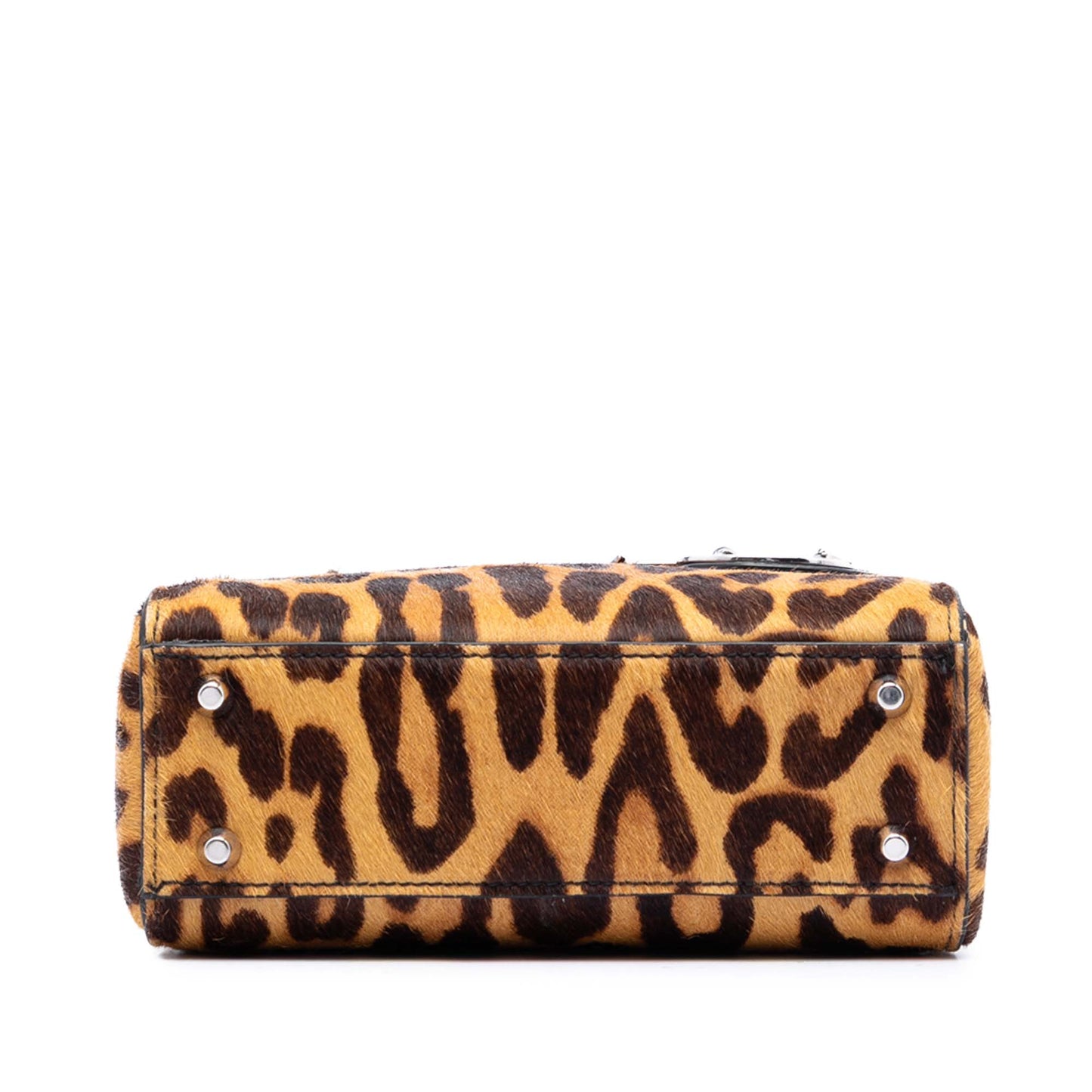 Dior Mini Pony Hair Leopard Print Lady Dior