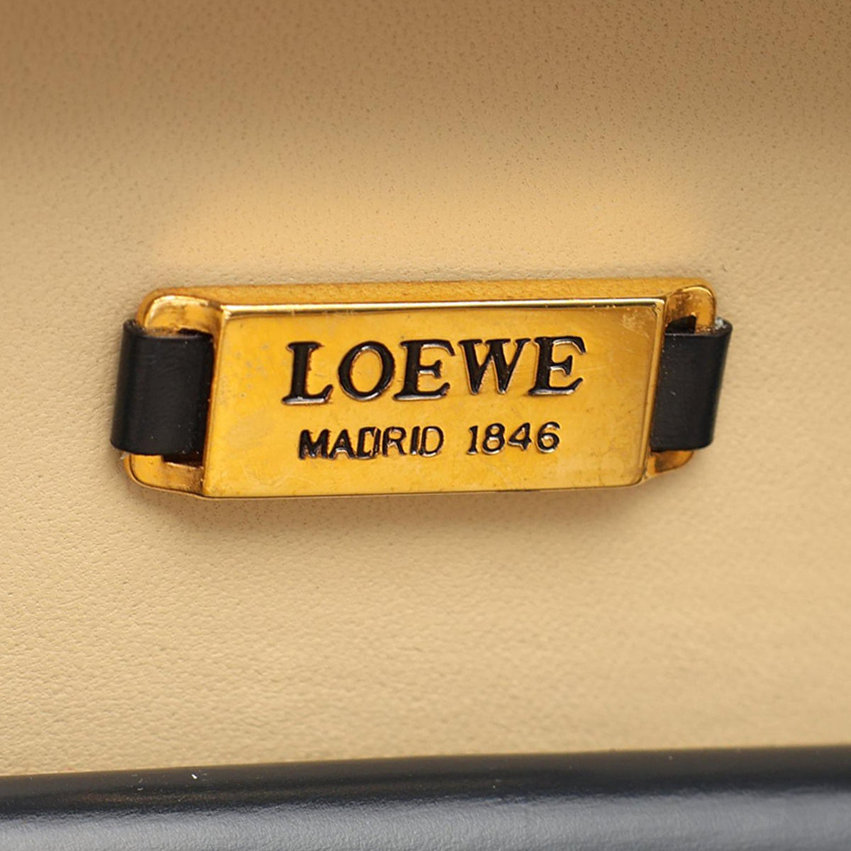 LOEWE Leather Anagram Round Handbag — Blue