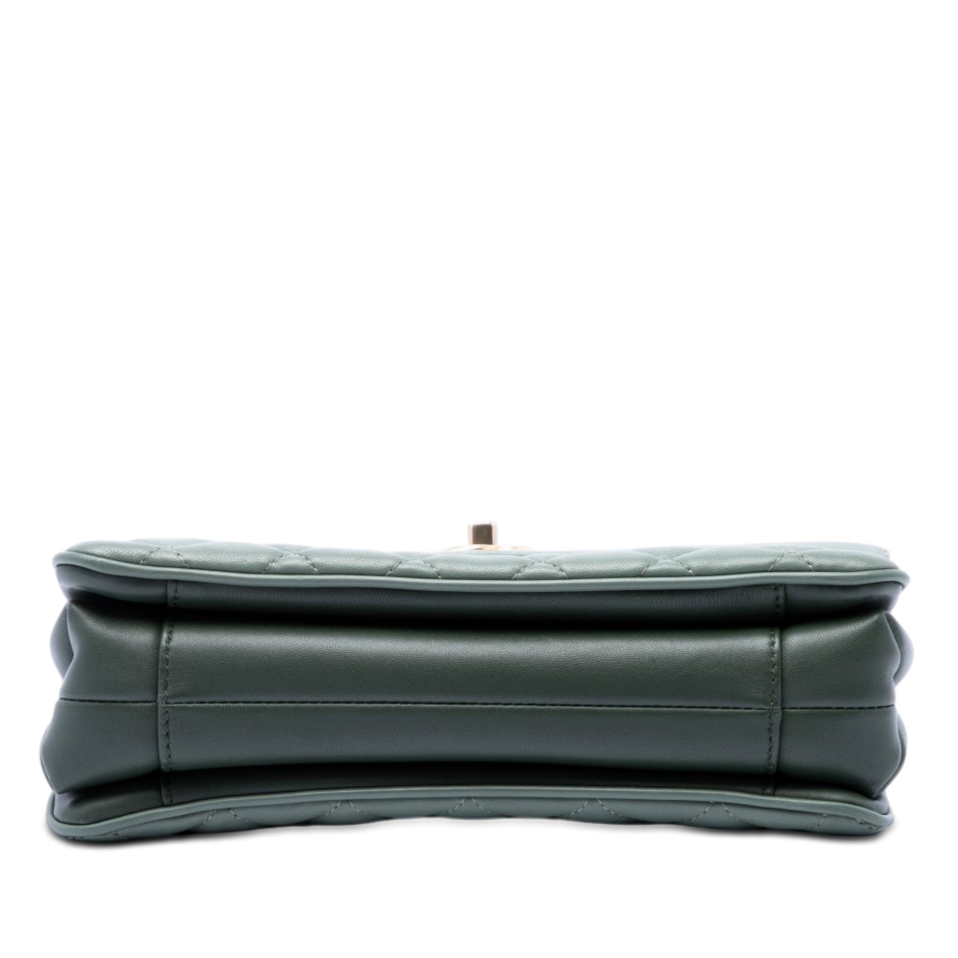 Chanel Medium Quilted Lambskin Daily Companion Flap