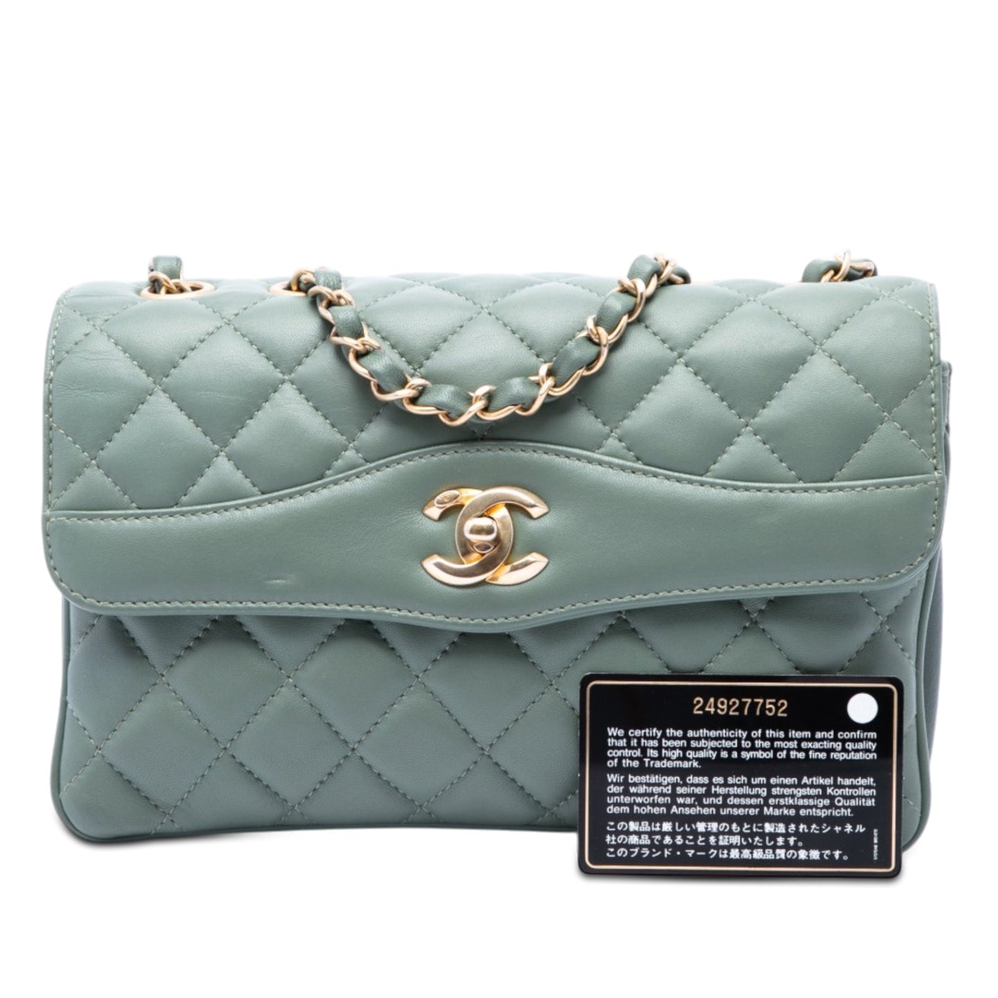 Chanel Medium Quilted Lambskin Daily Companion Flap
