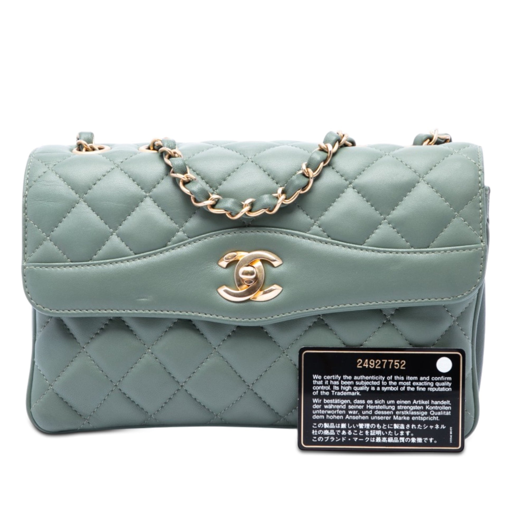 Chanel Medium Quilted Lambskin Daily Companion Flap
