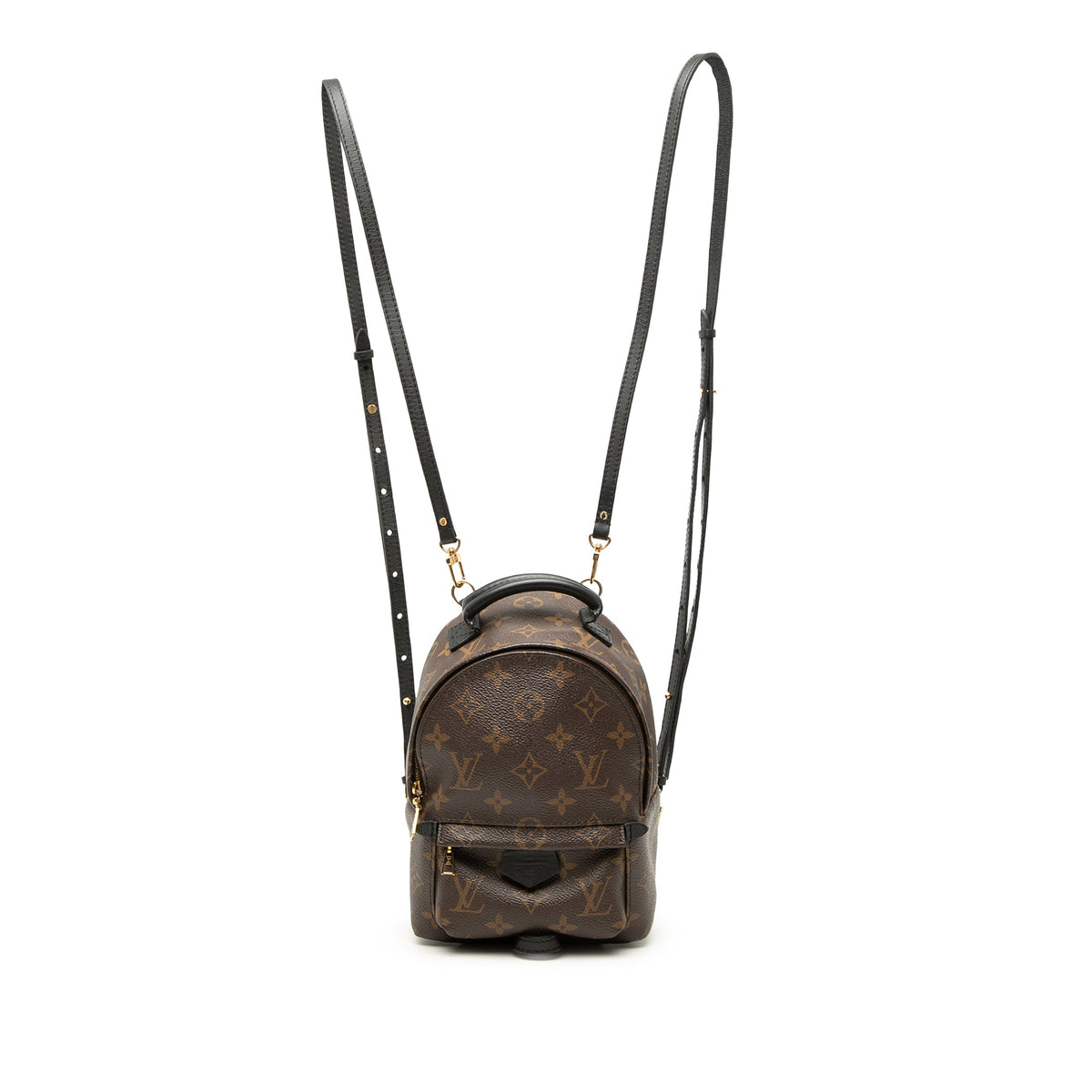 Louis Vuitton Monogram Mini Palm Springs